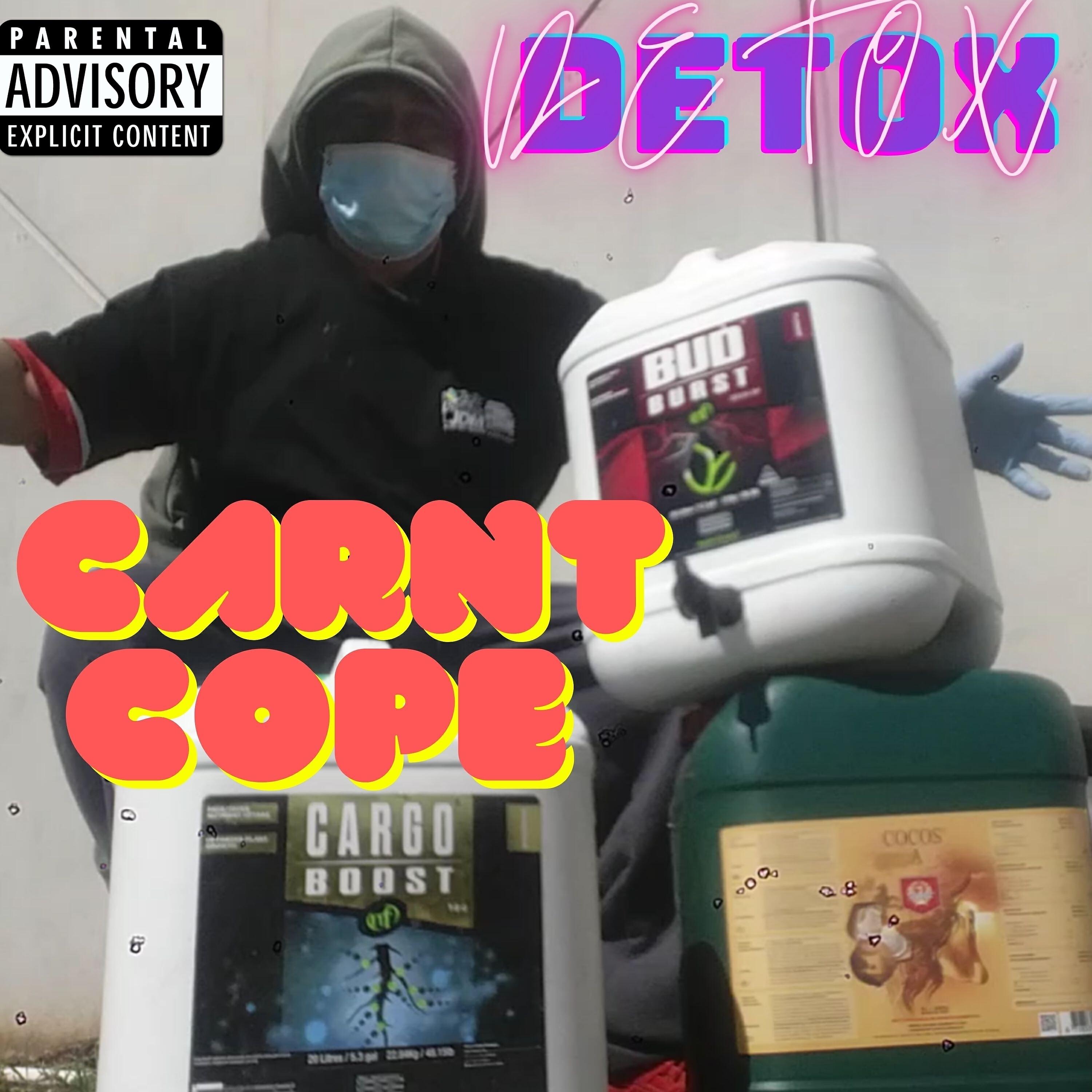 Релиз Carnt Cope