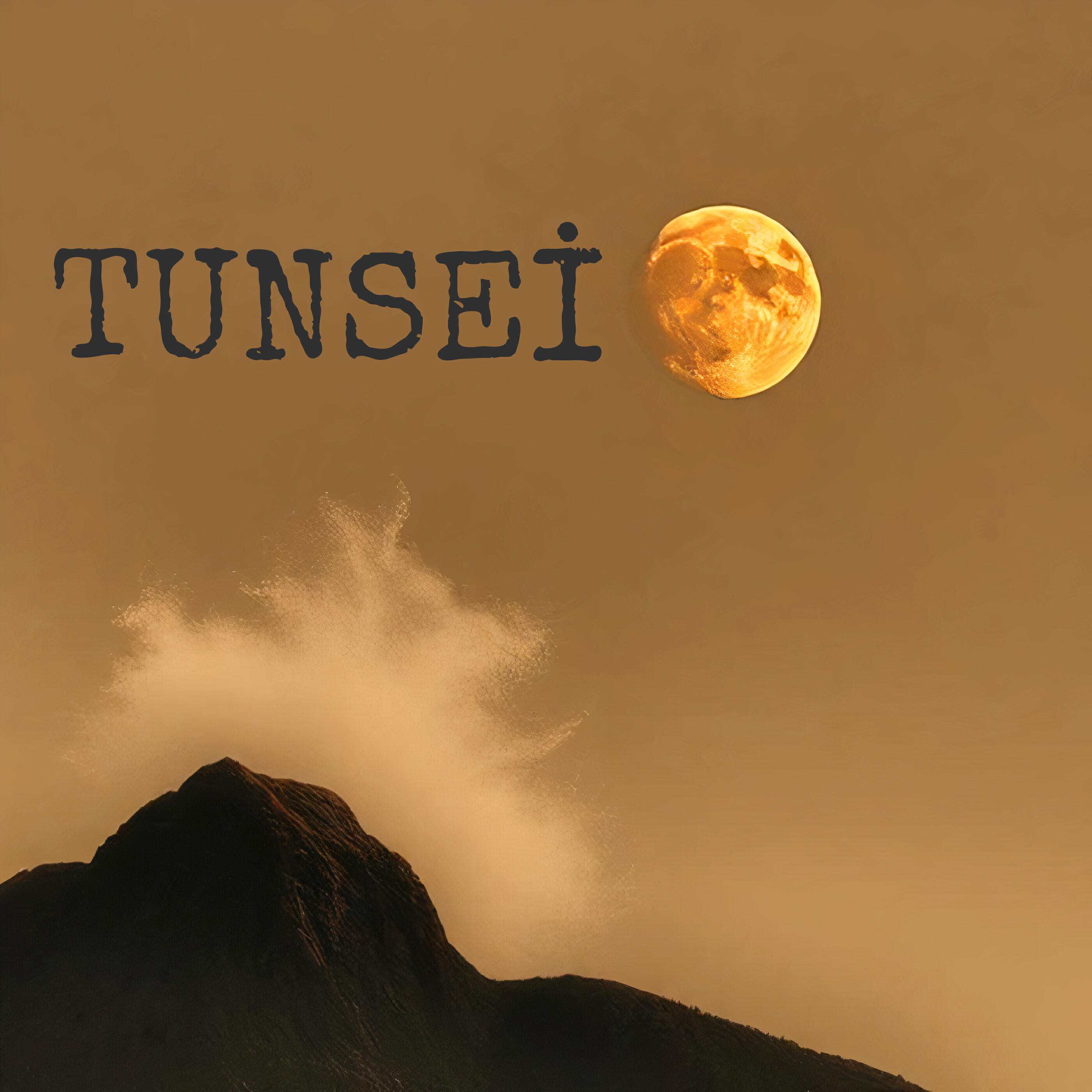 Tunsei