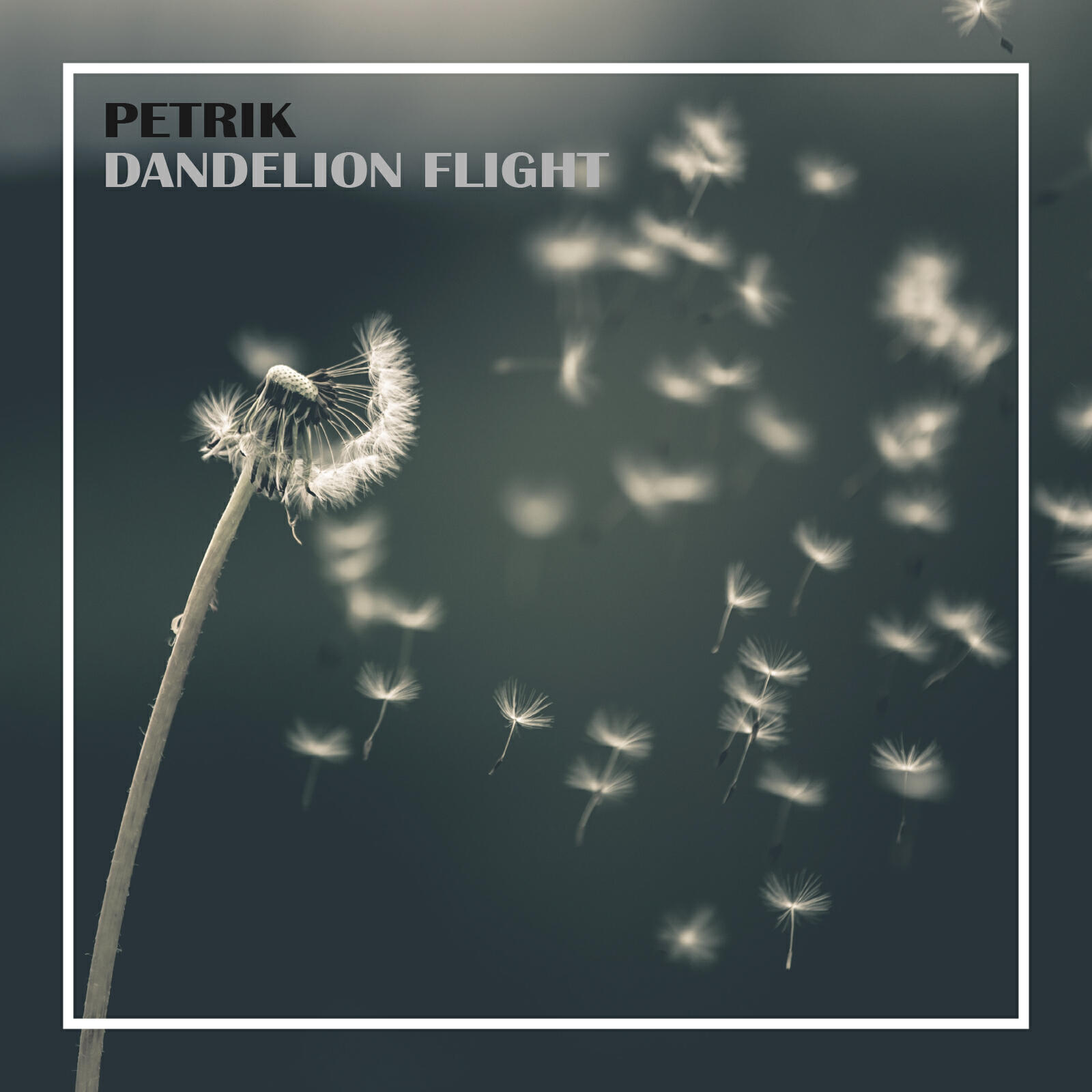 PETRIK