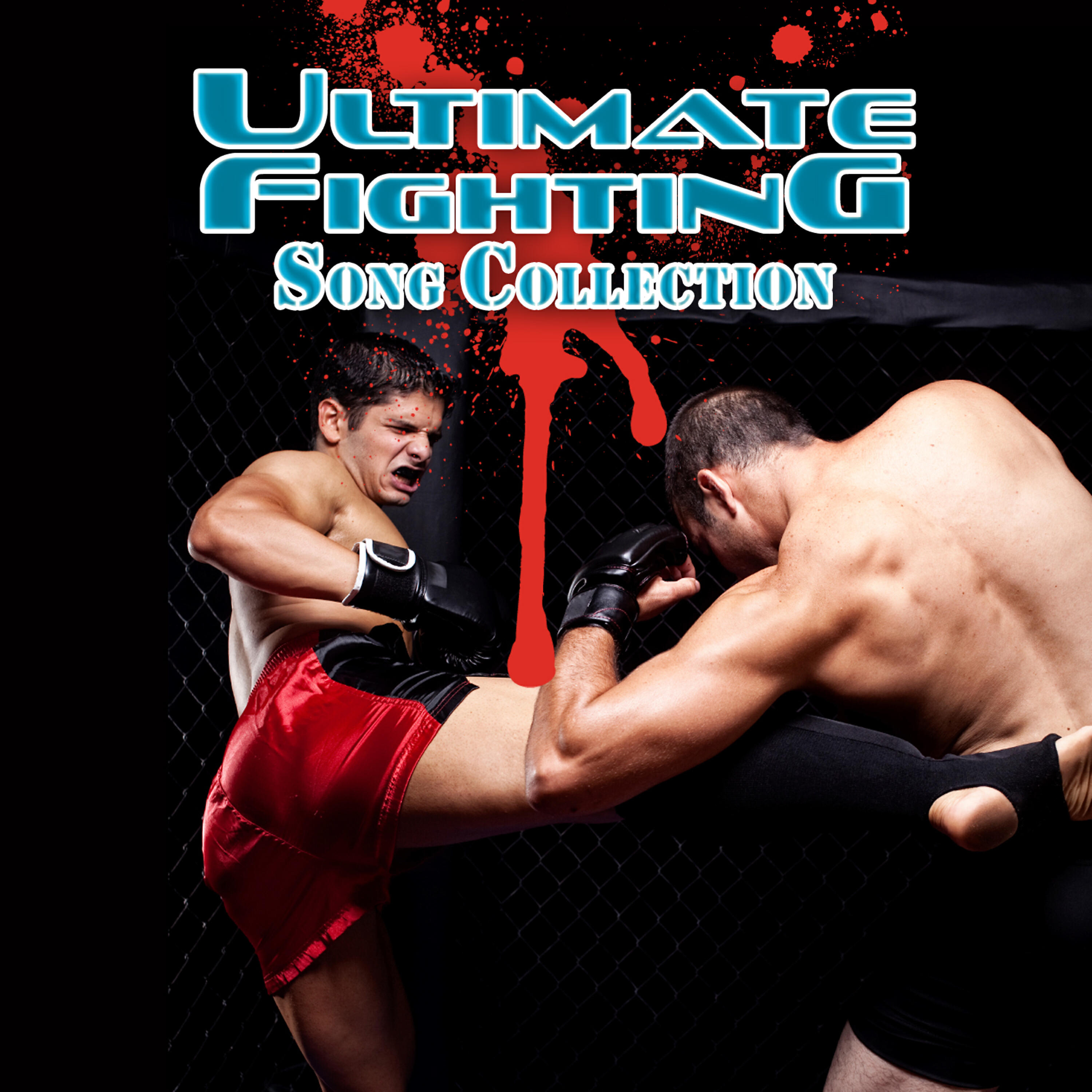 Релиз Ultimate Fighting Song Collection