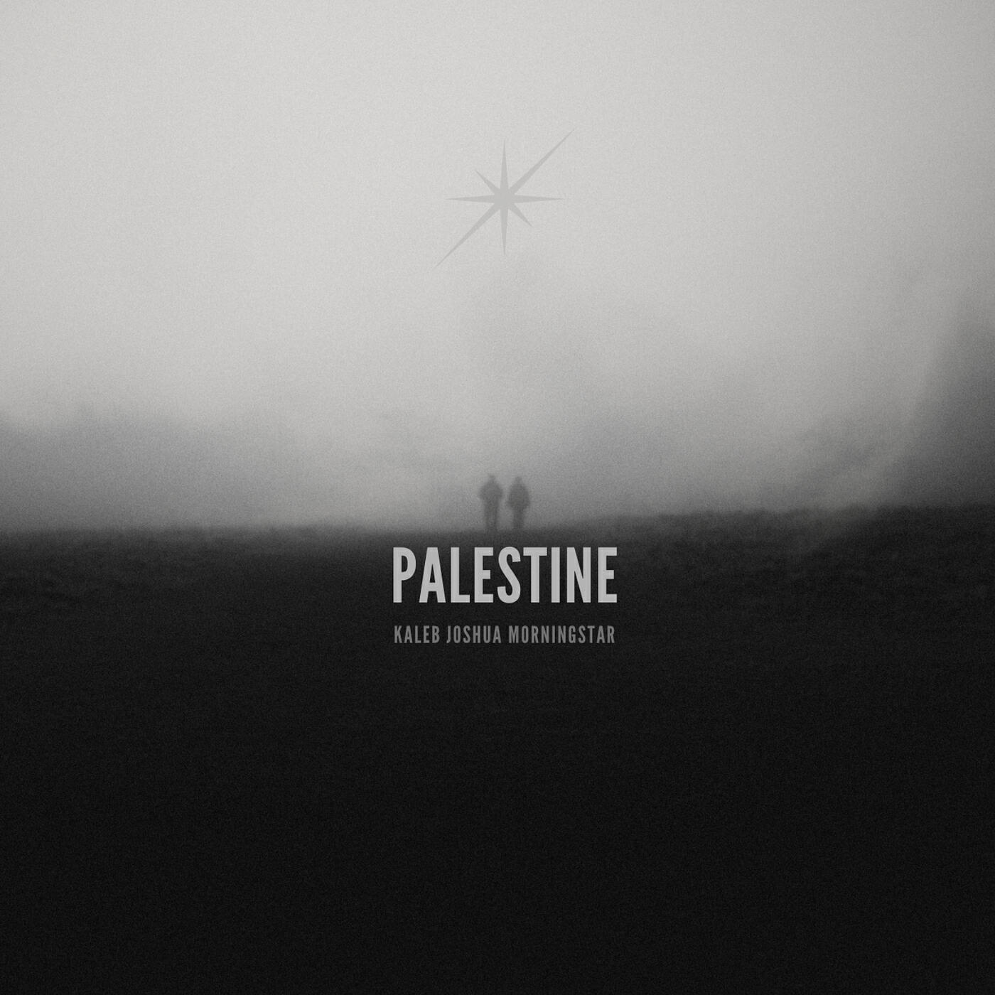Релиз Palestine