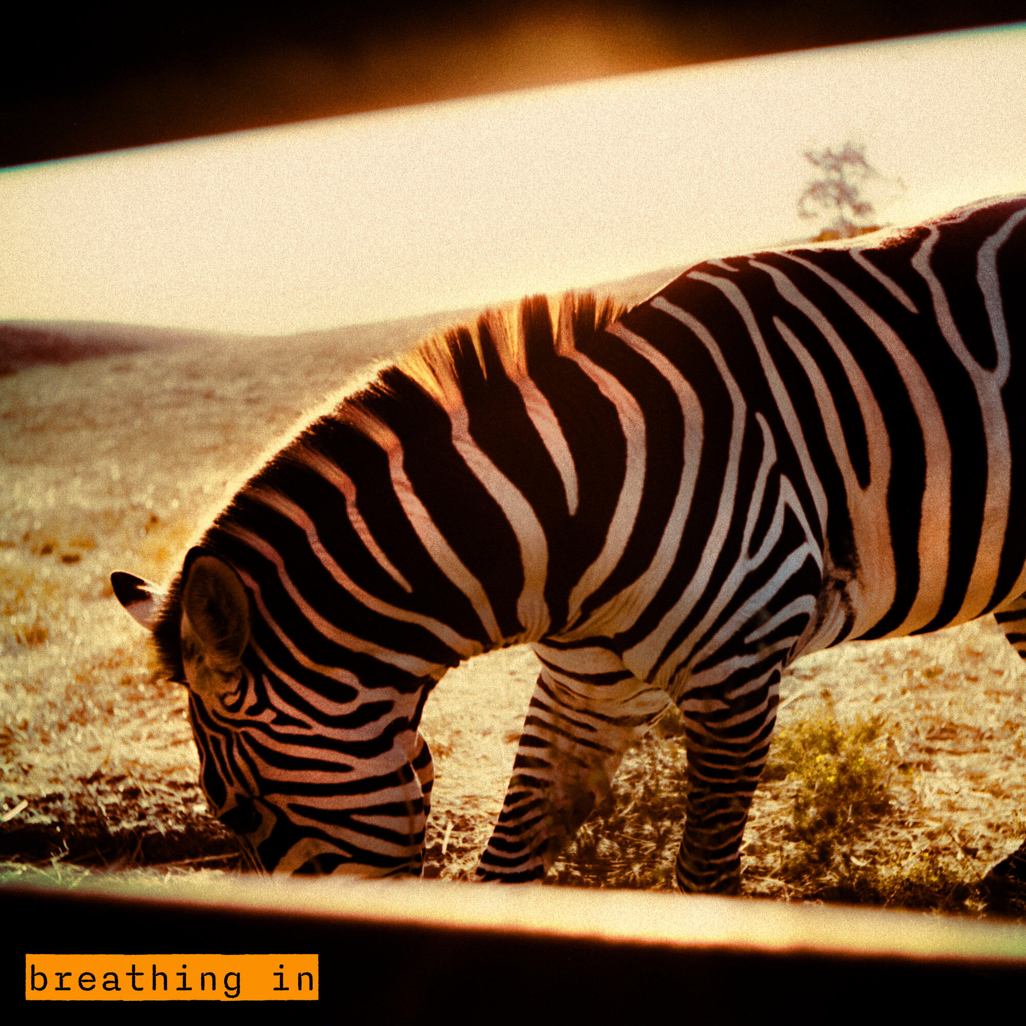Релиз breathing in