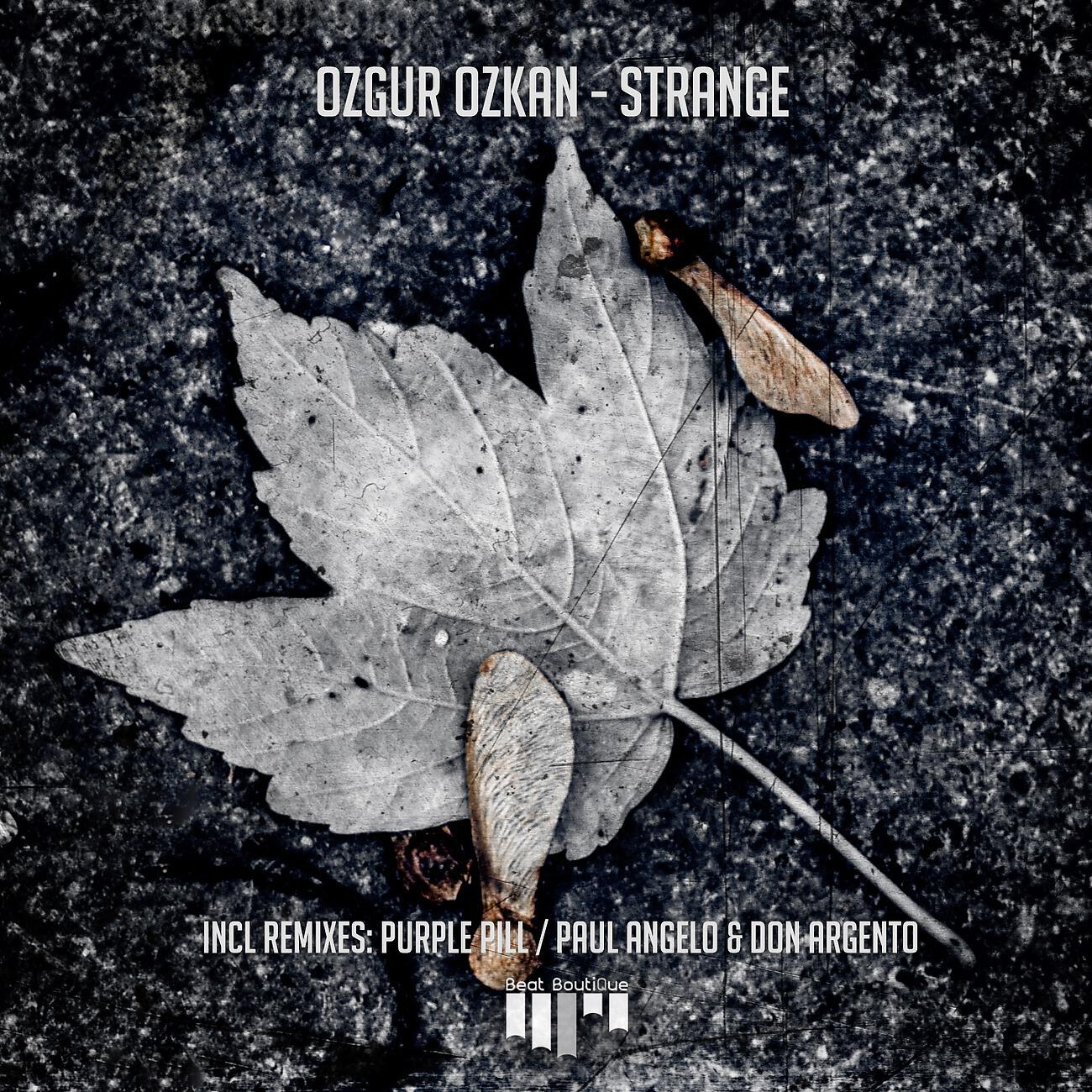 Постер альбома Strange