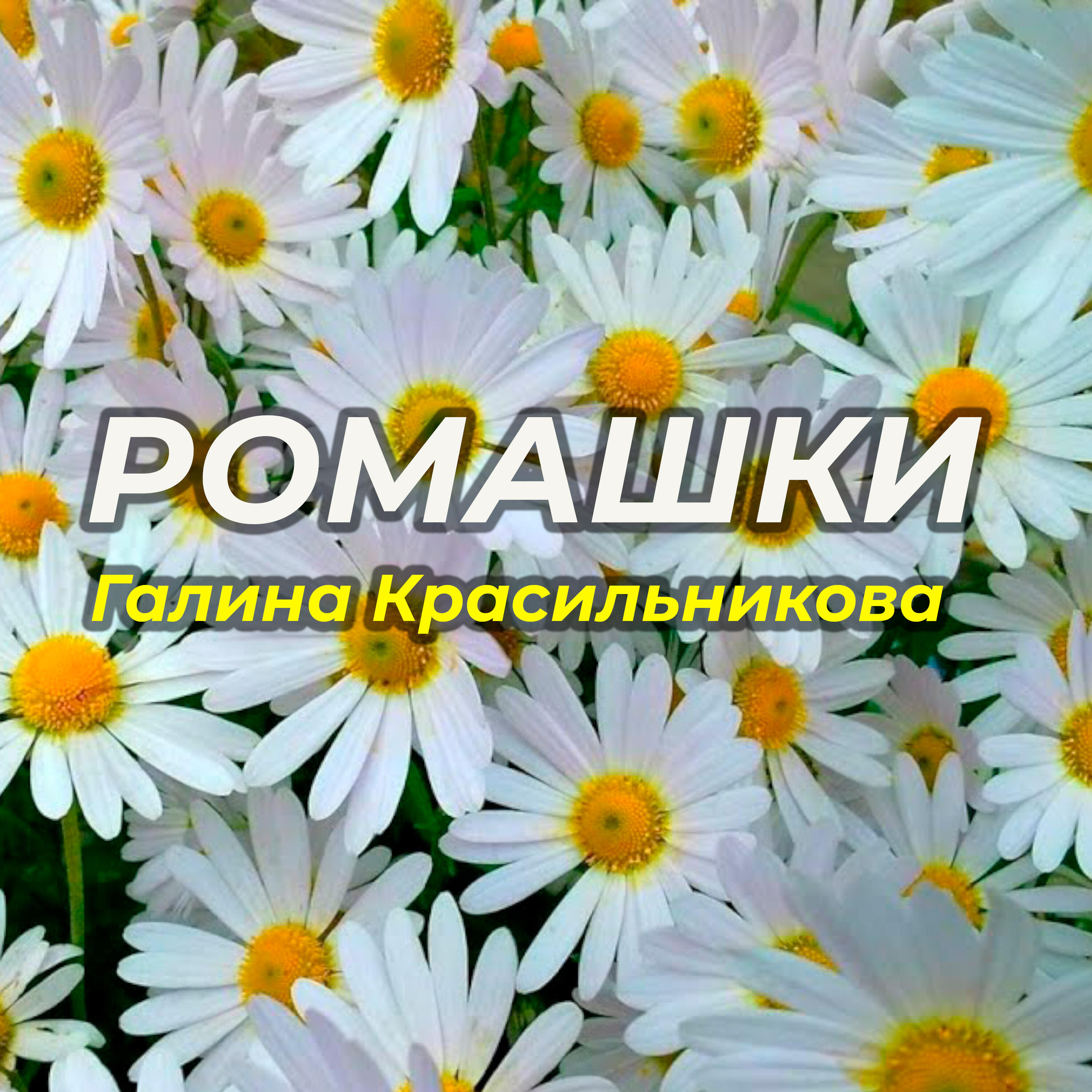 Галина Красильникова