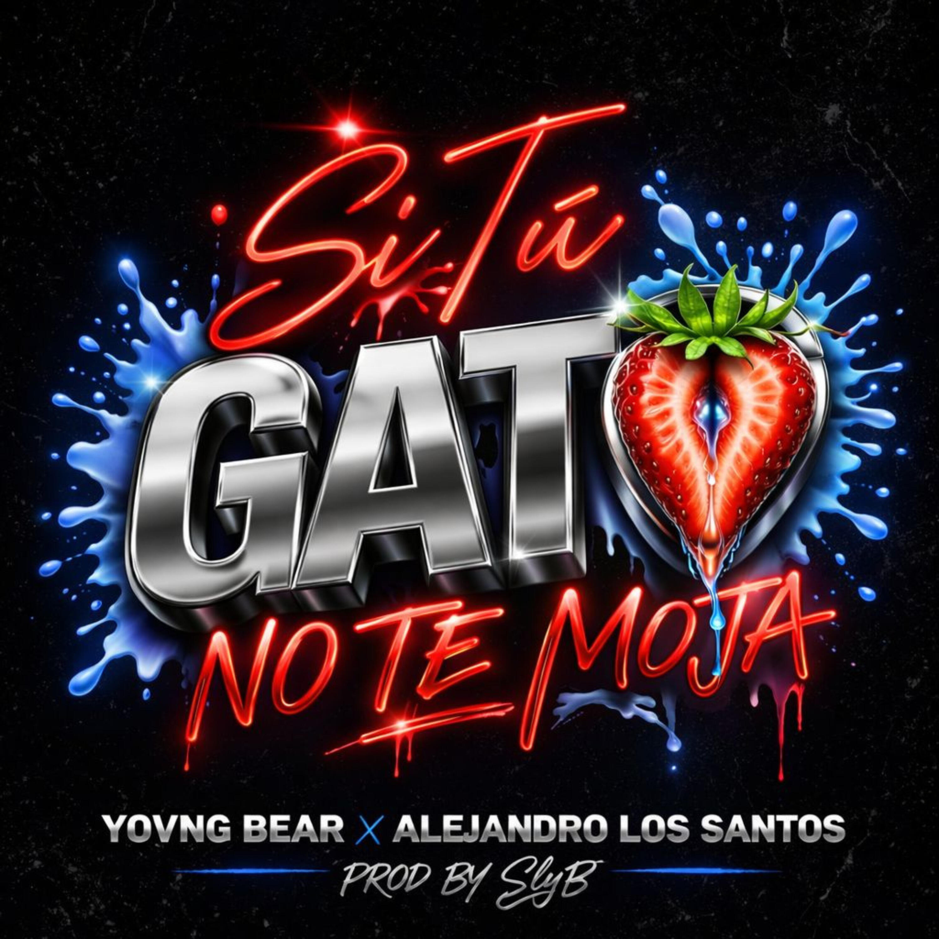 Yovng Bear