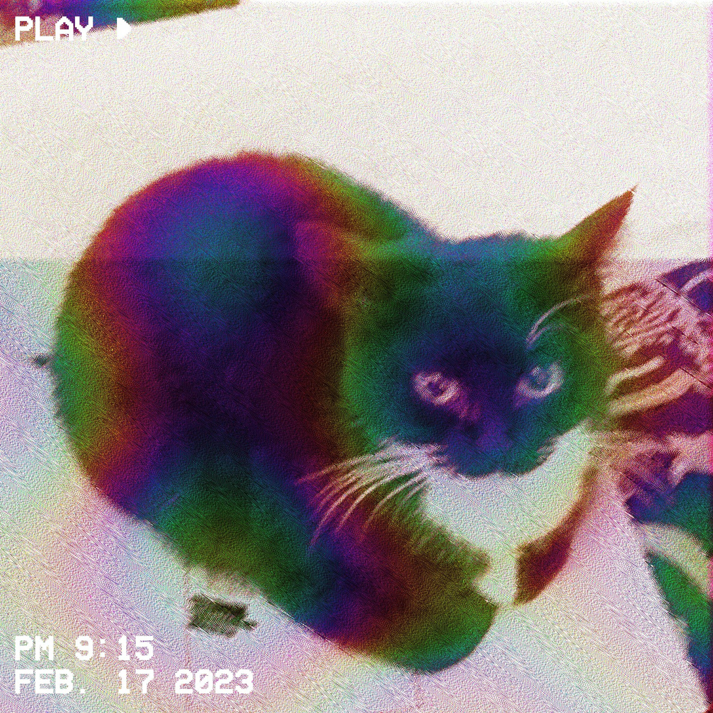 Релиз Maxwell The Drifting Cat