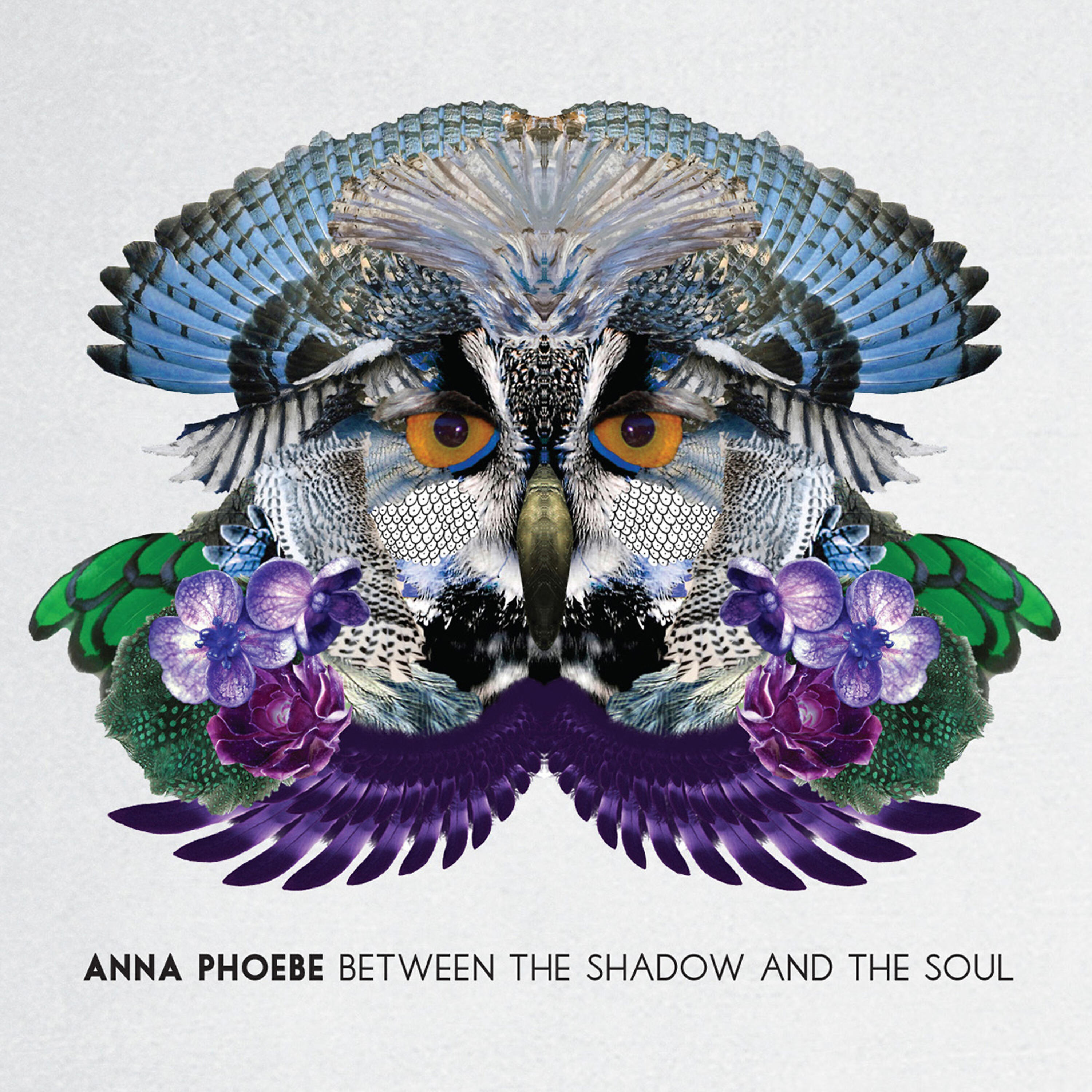 Релиз Between the Shadow and the Soul