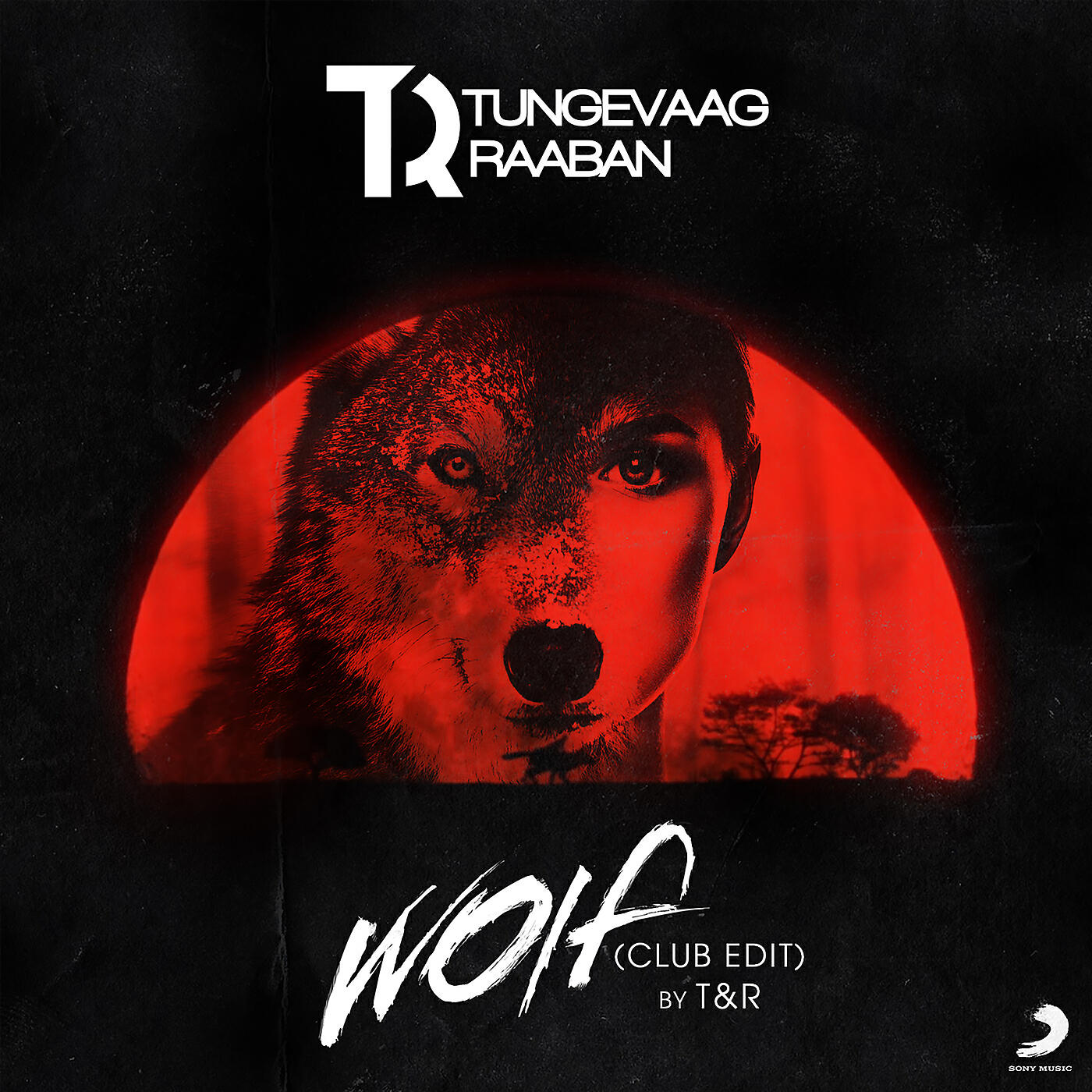 Релиз Wolf