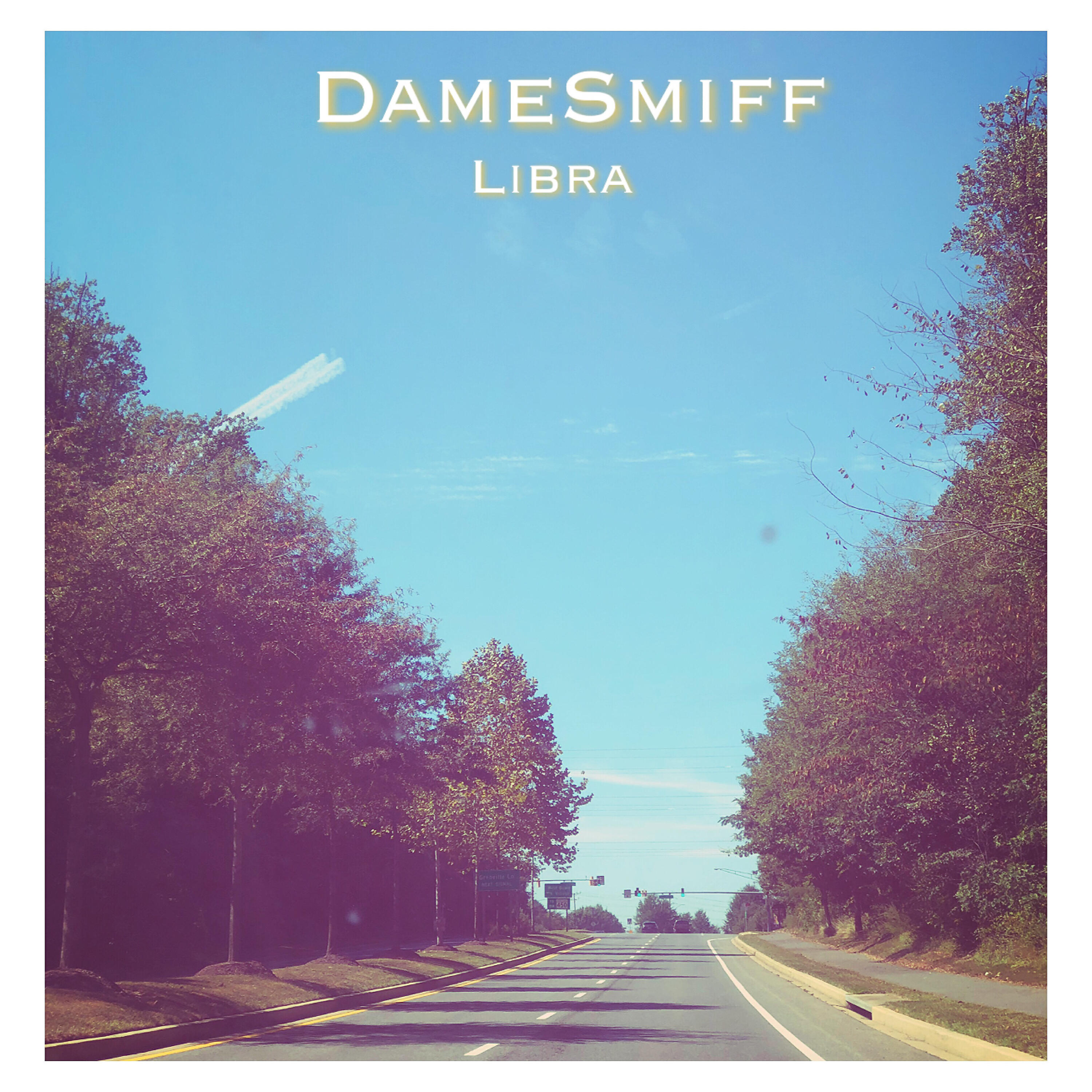 Релиз Libra