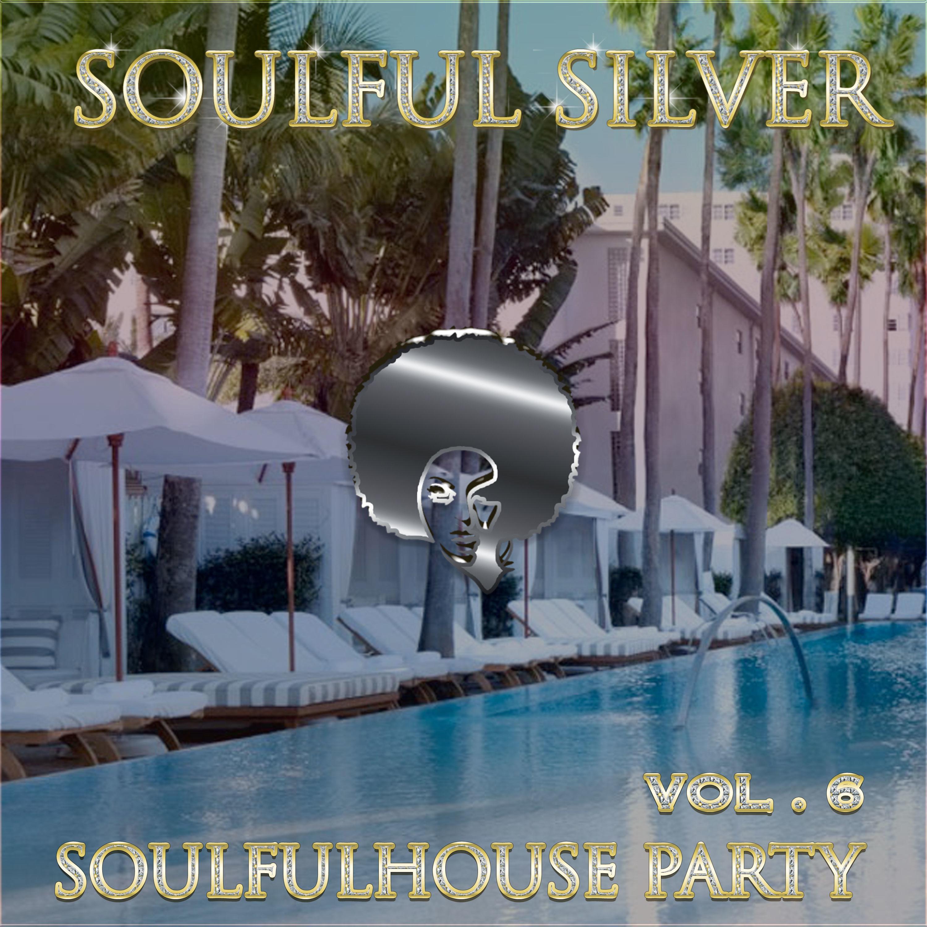 Релиз Soulfulhouse Party, Vol. 6