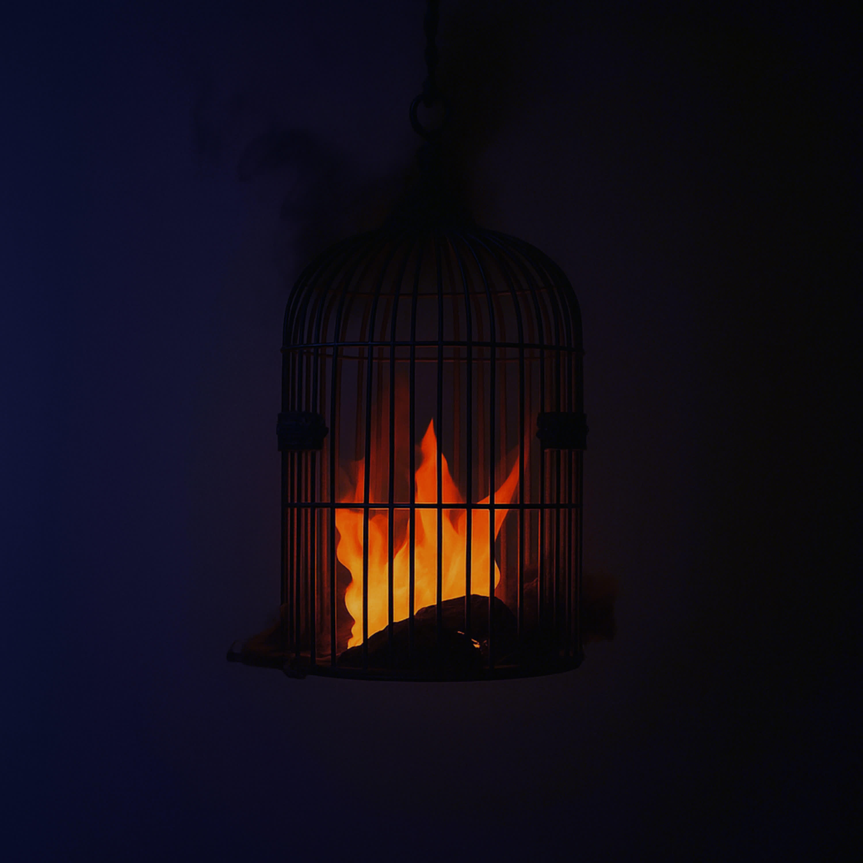 Релиз Cage of Fire