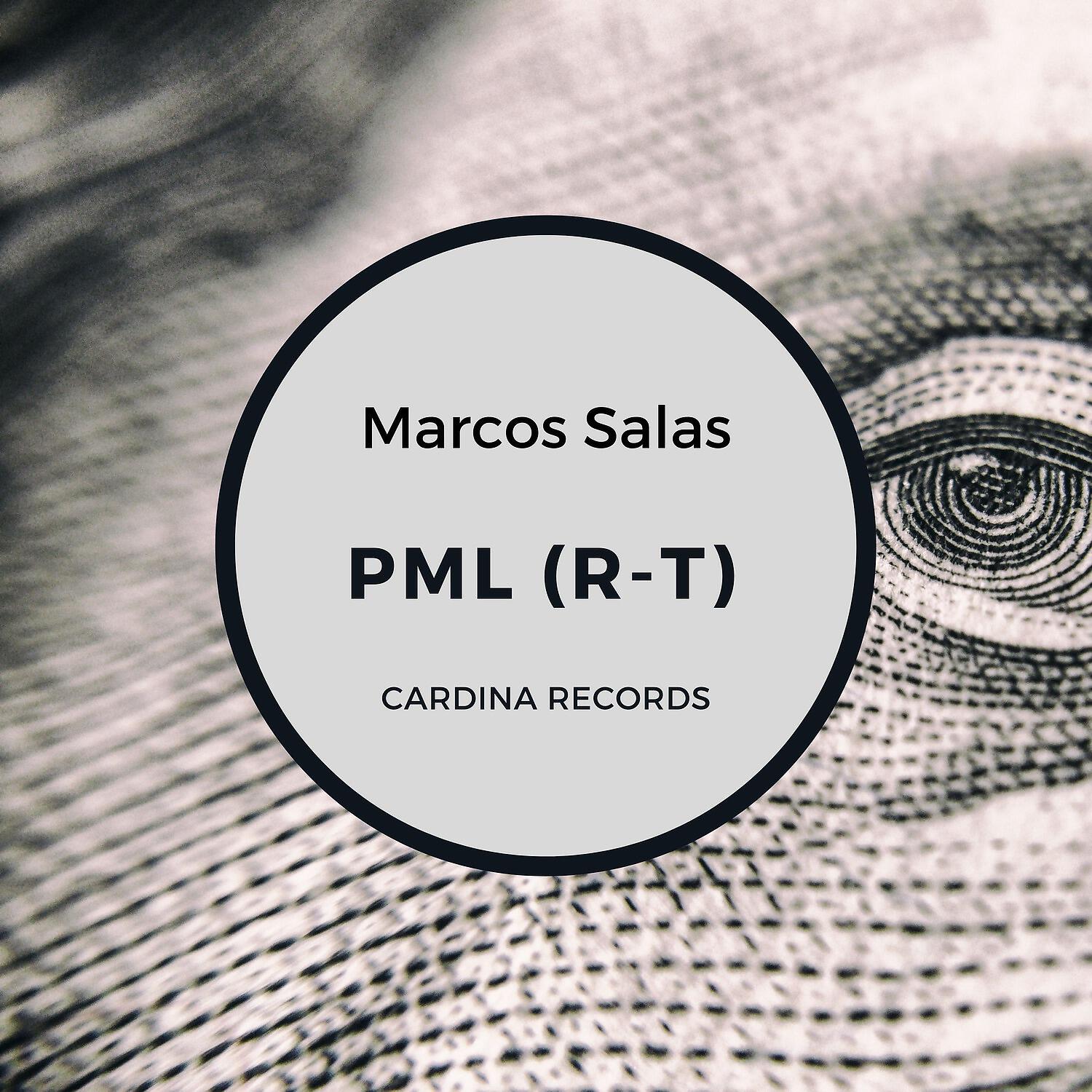 Релиз PML (R-T)