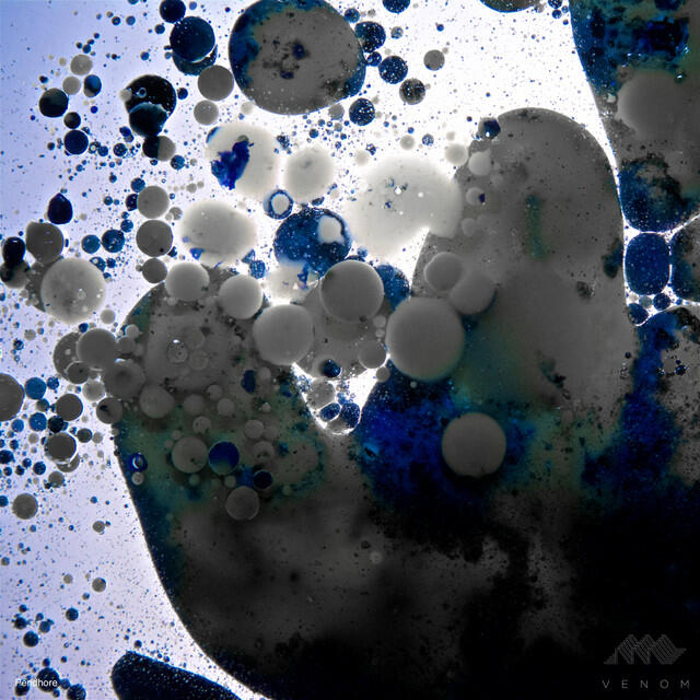 Релиз Void Observatory