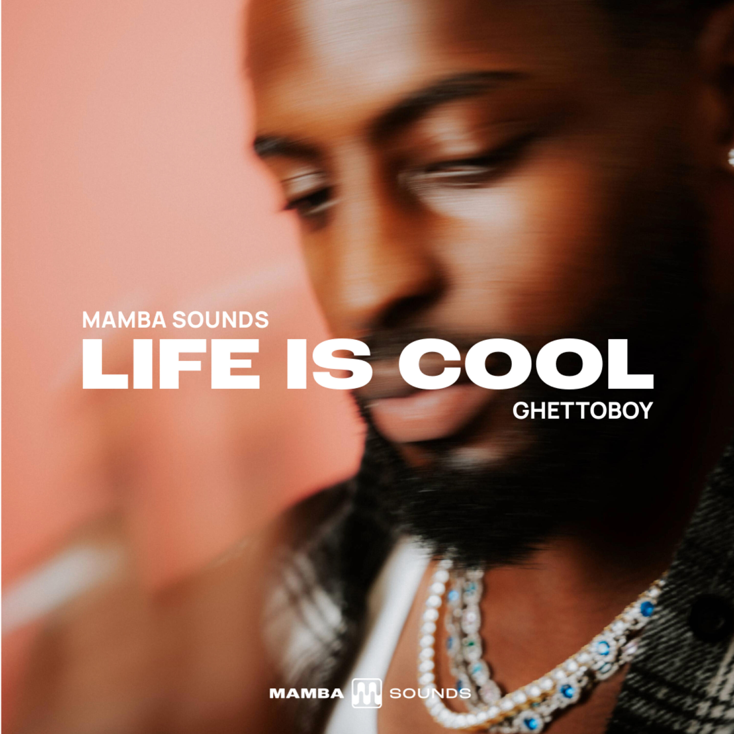 Релиз Life is Cool