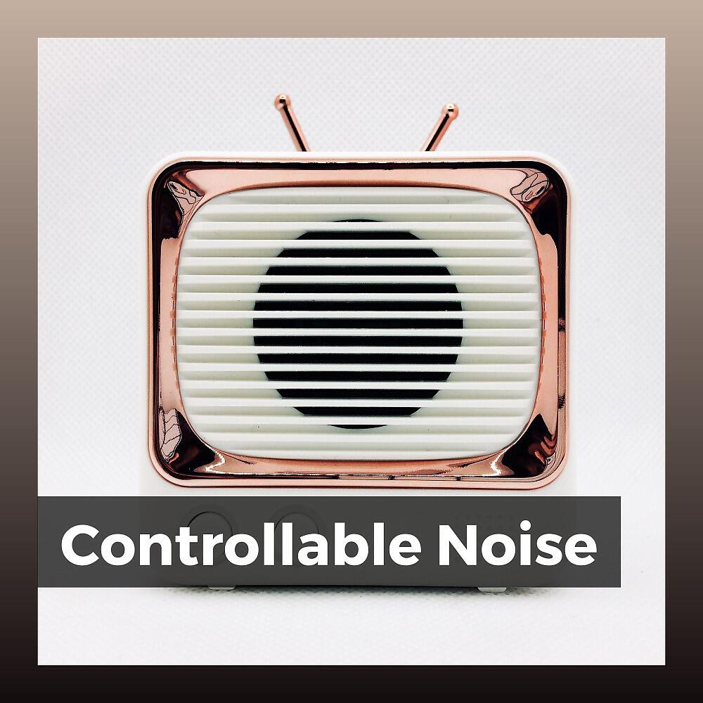 Релиз Controllable Noise