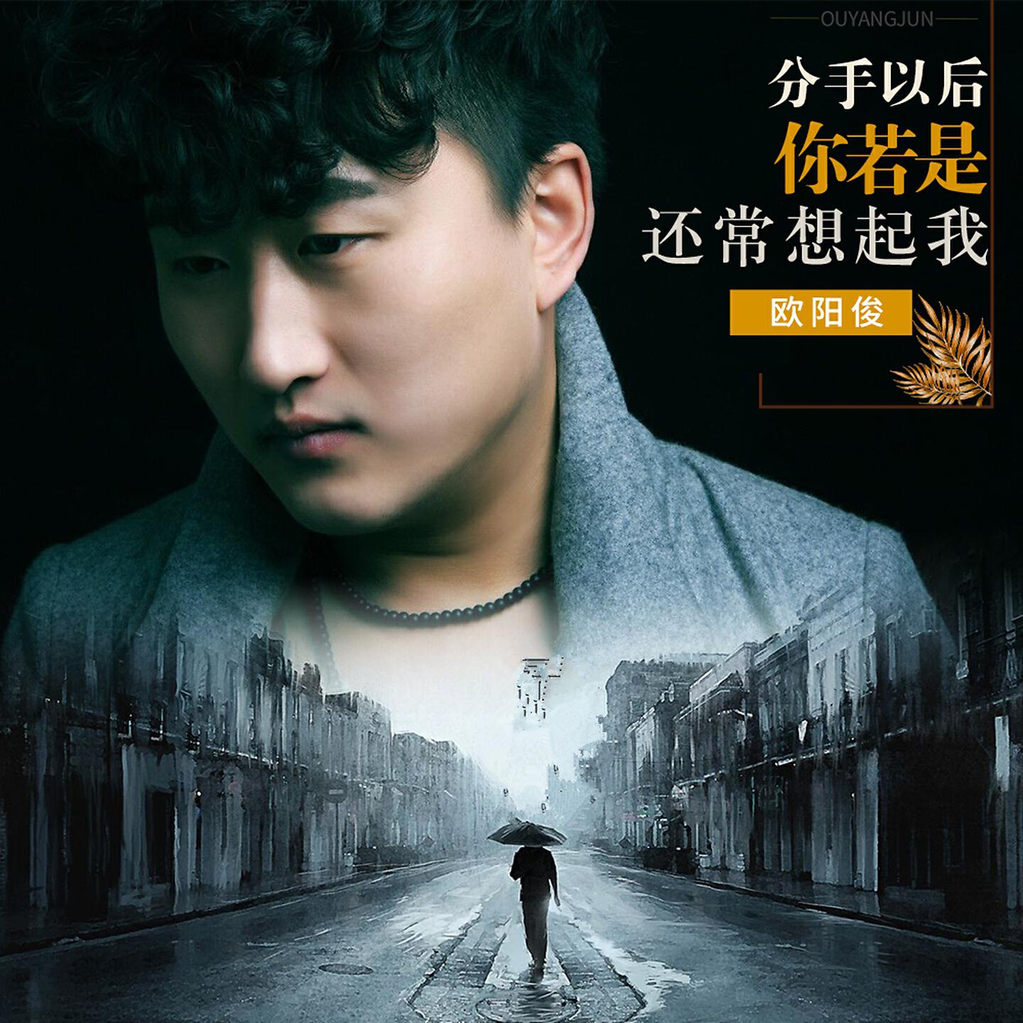 Трек 分手以后你若是还常想起我 (Dj何鹏版)