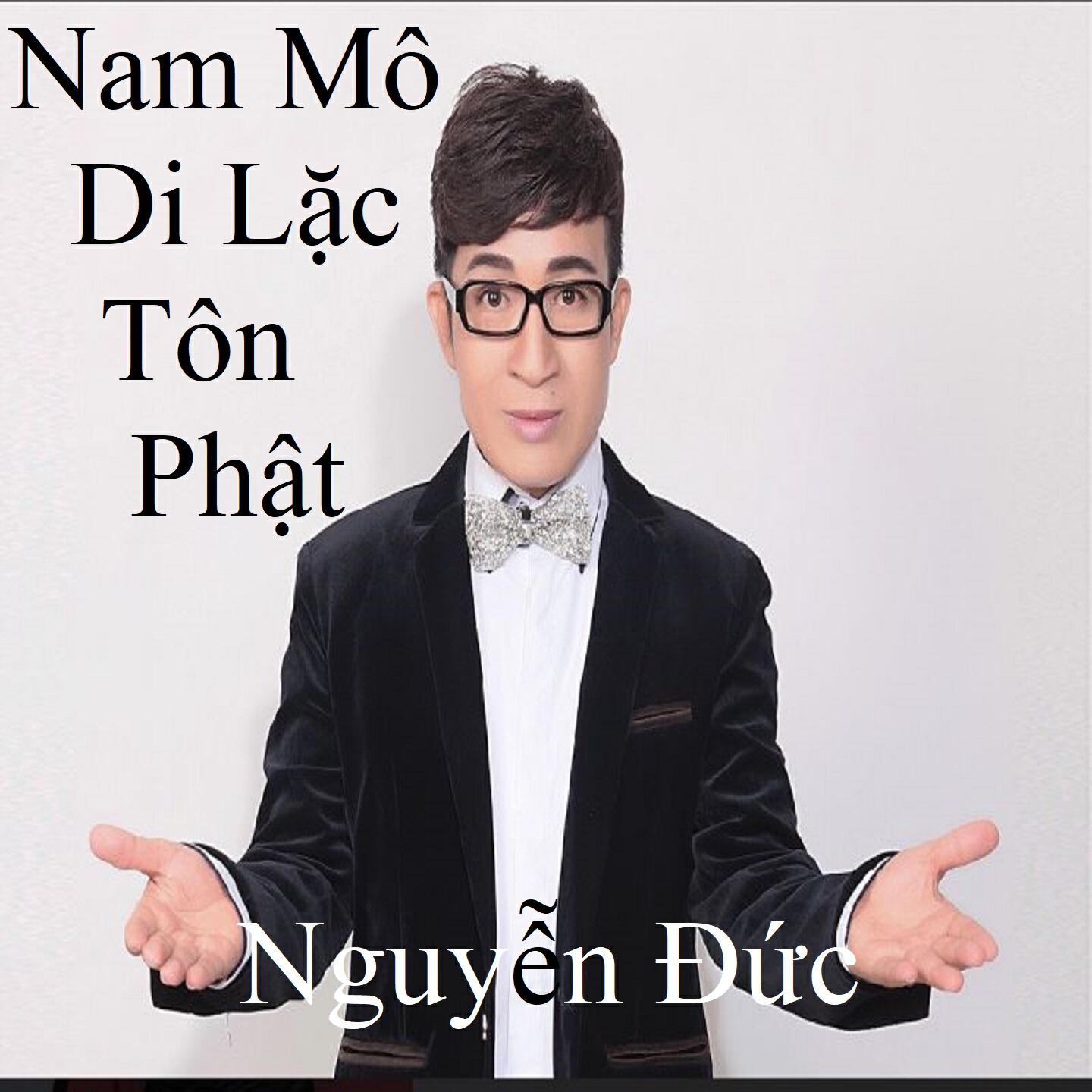 Релиз Nam Mô Di Lặc Tôn Phật