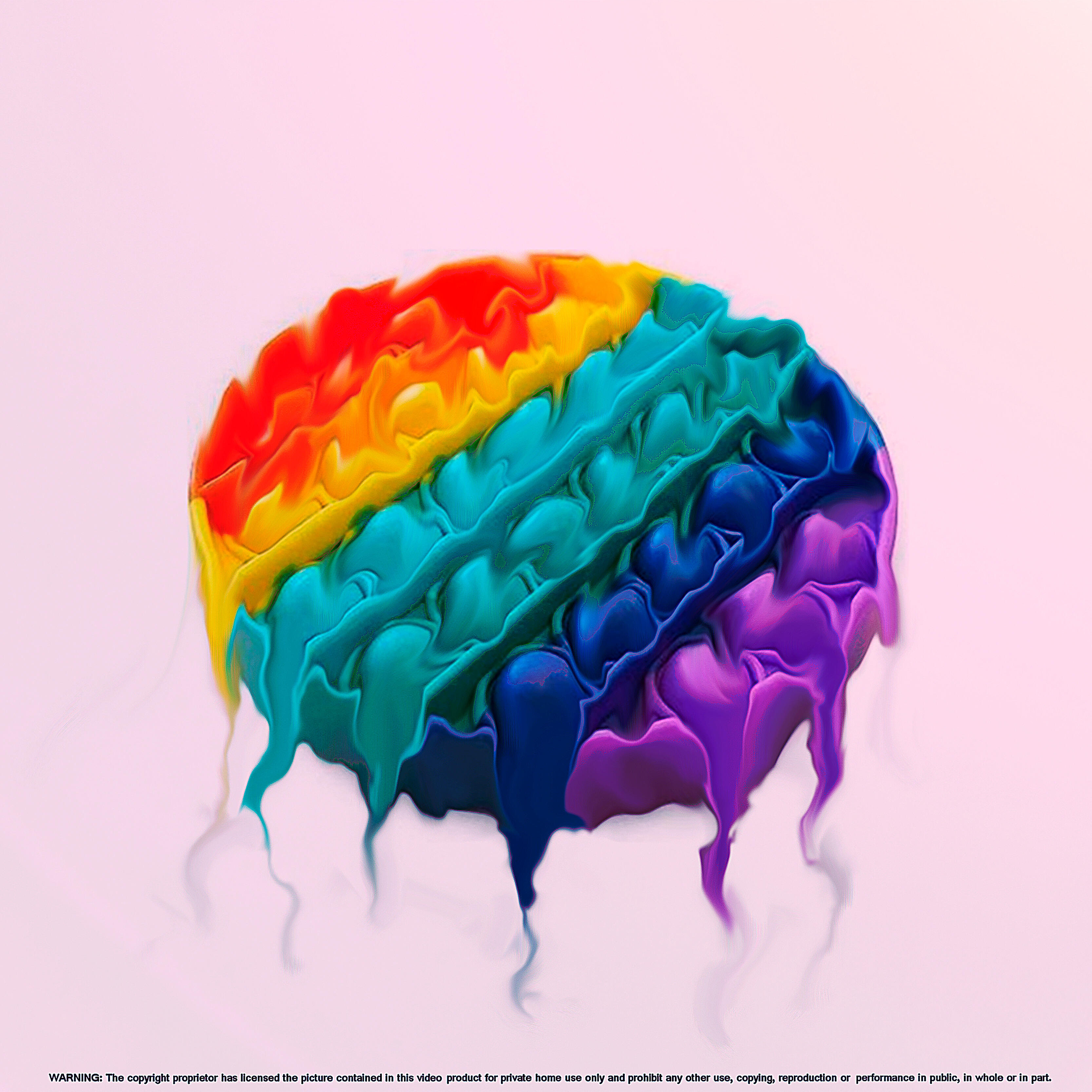 Релиз Pop It