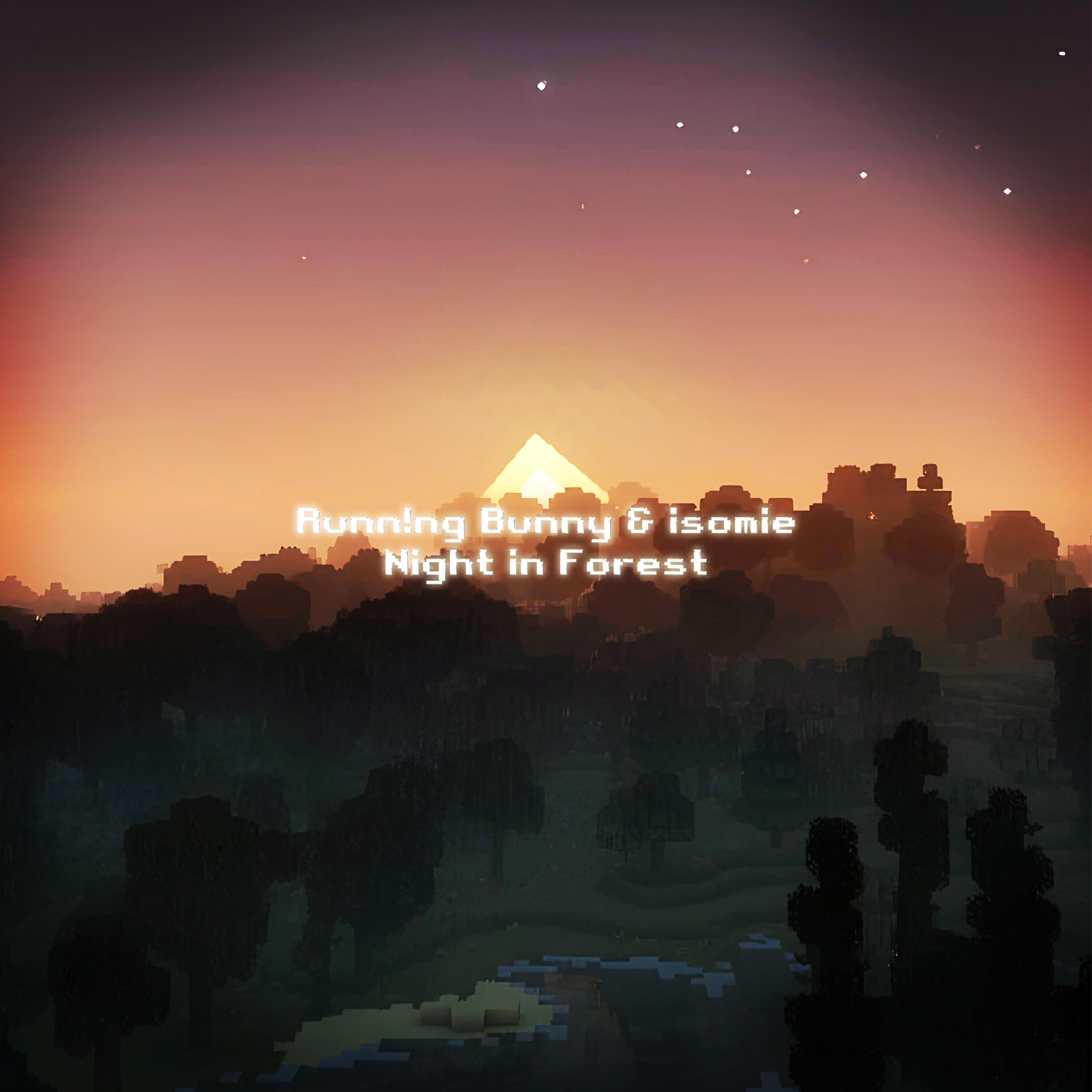 Релиз Night in Forest