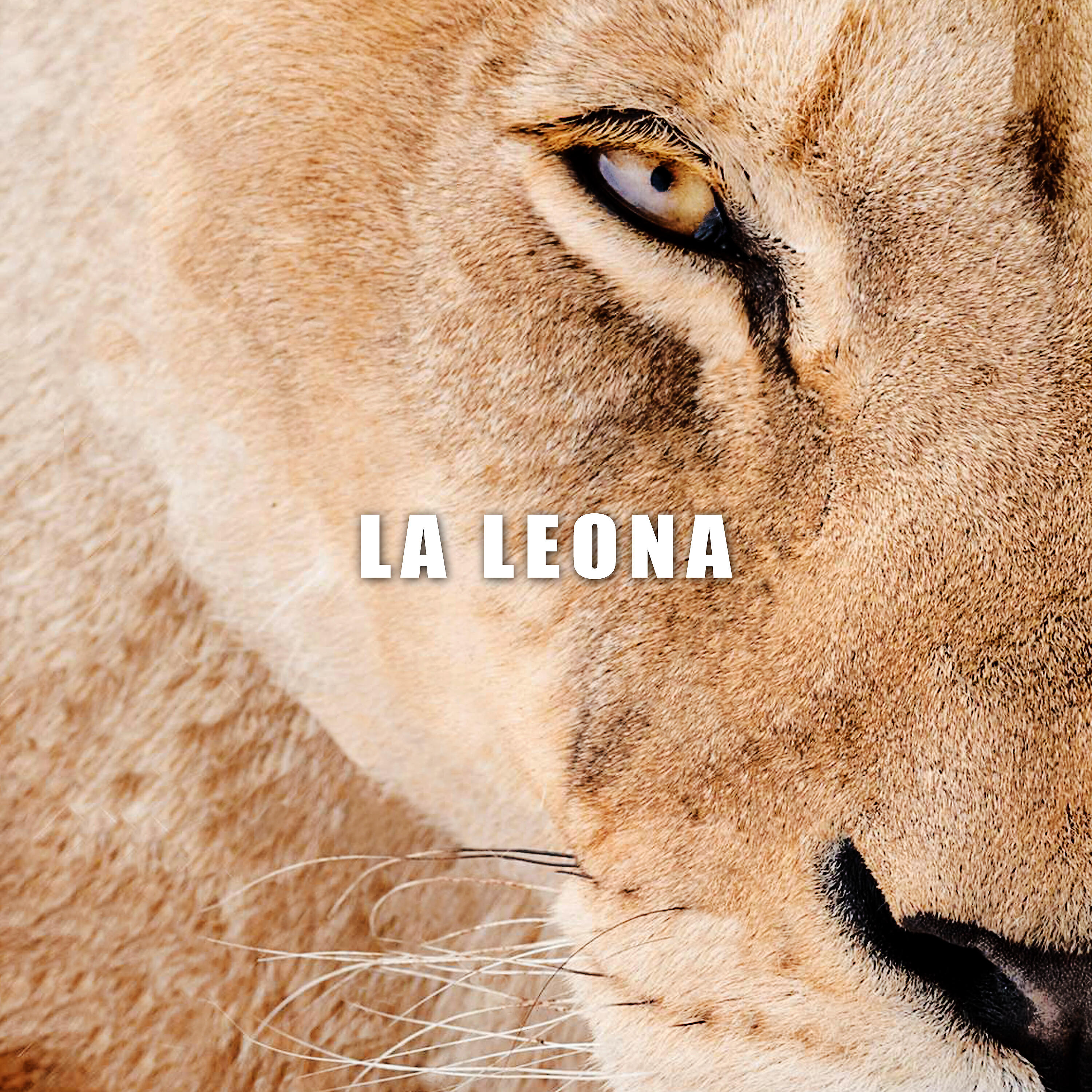 Релиз La Leona
