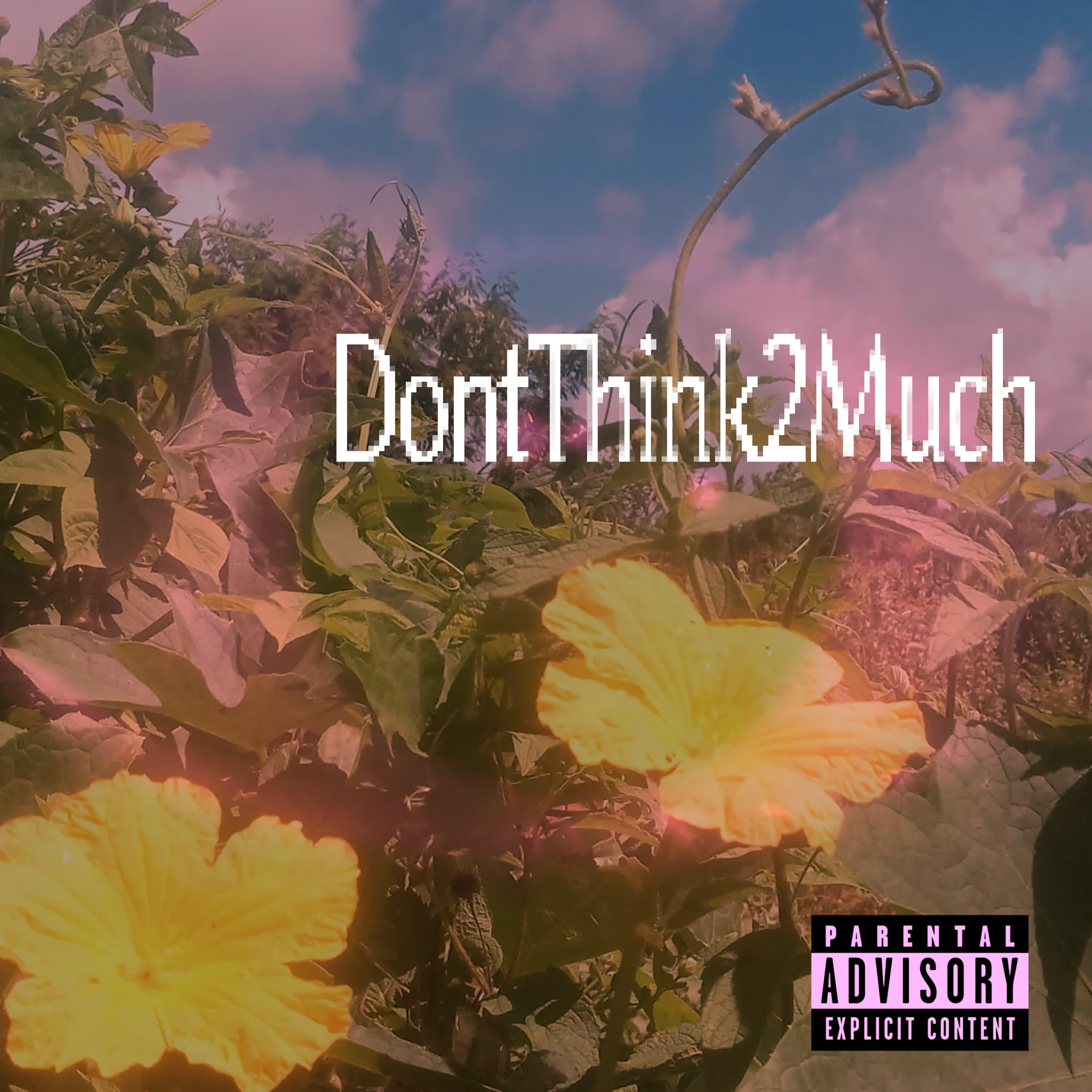 Релиз DontThink2Much
