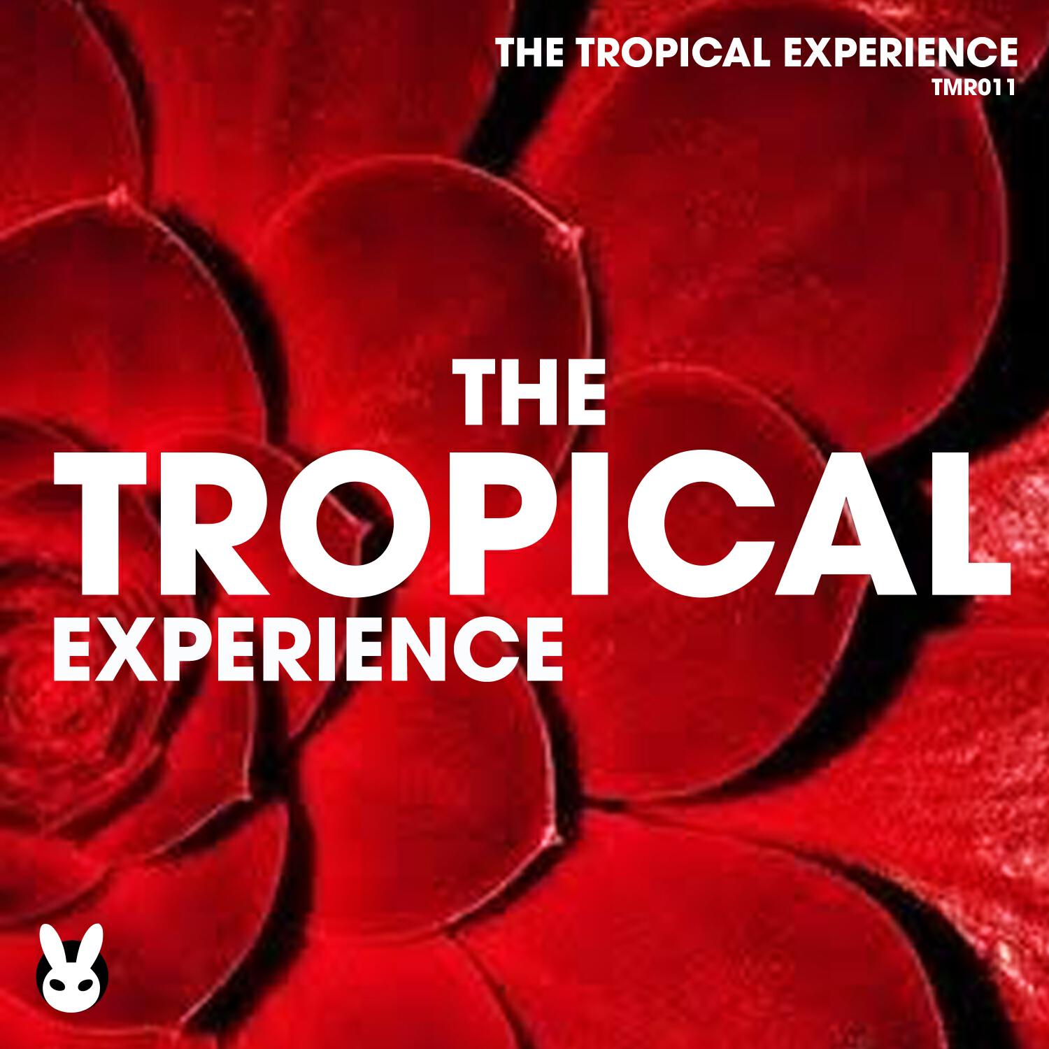 Релиз The Tropical Experience