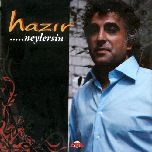 Релиз Neylersin
