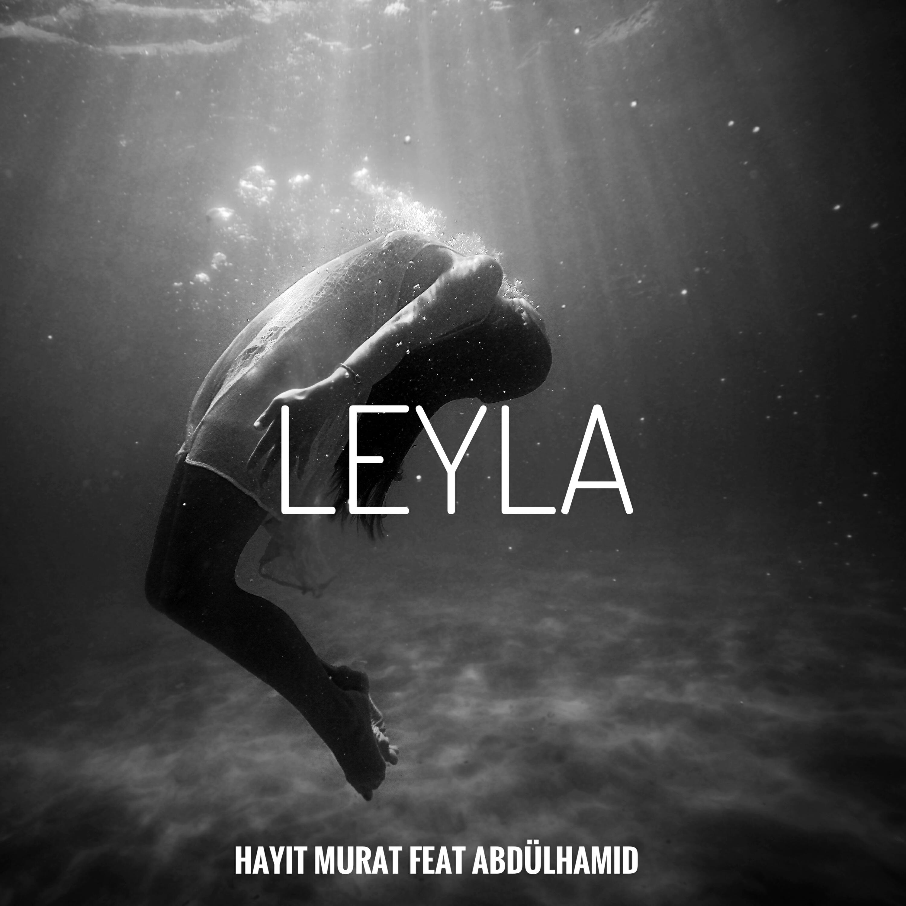 Постер альбома Leyla