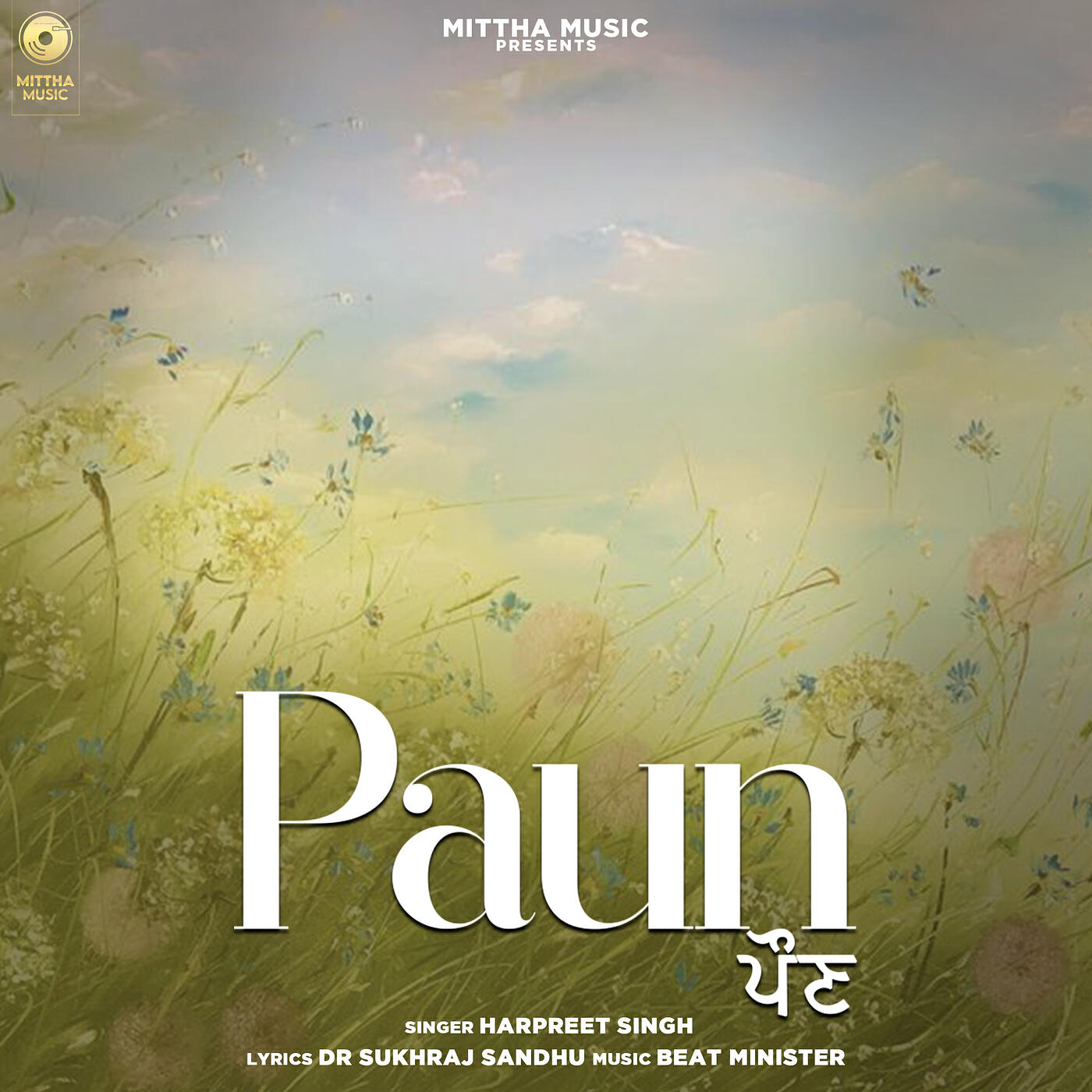 Релиз Paun