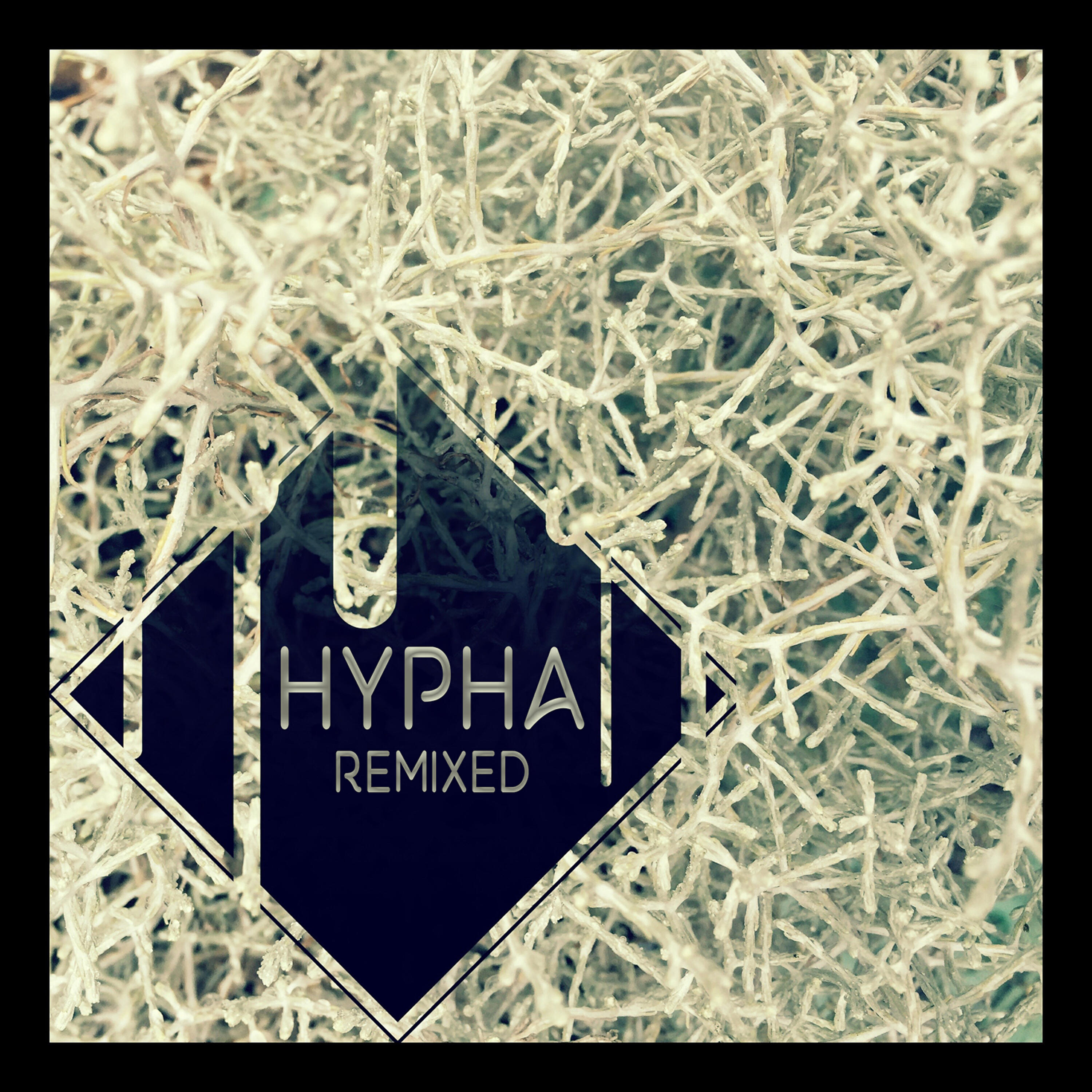 Релиз Remixed