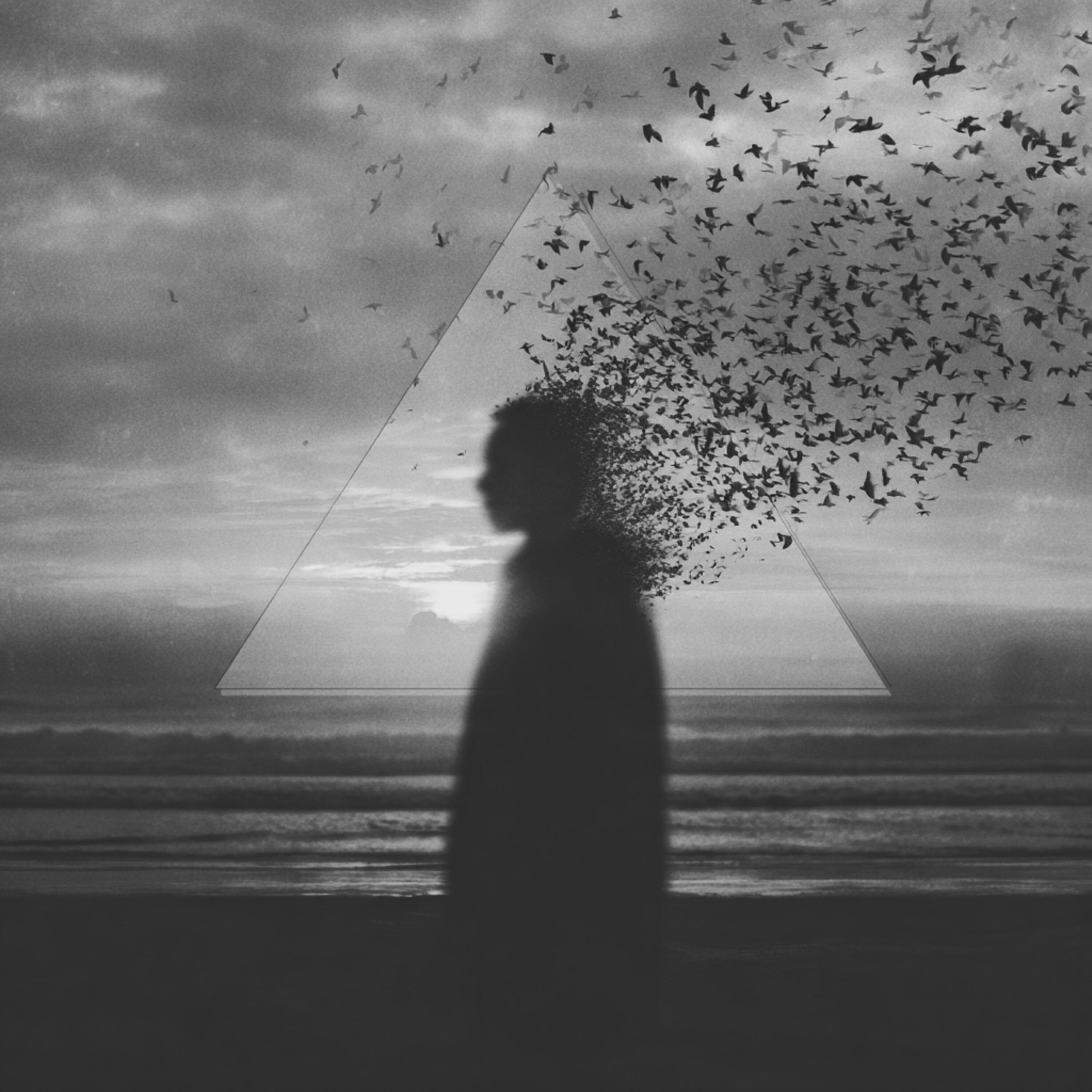 Релиз Wings