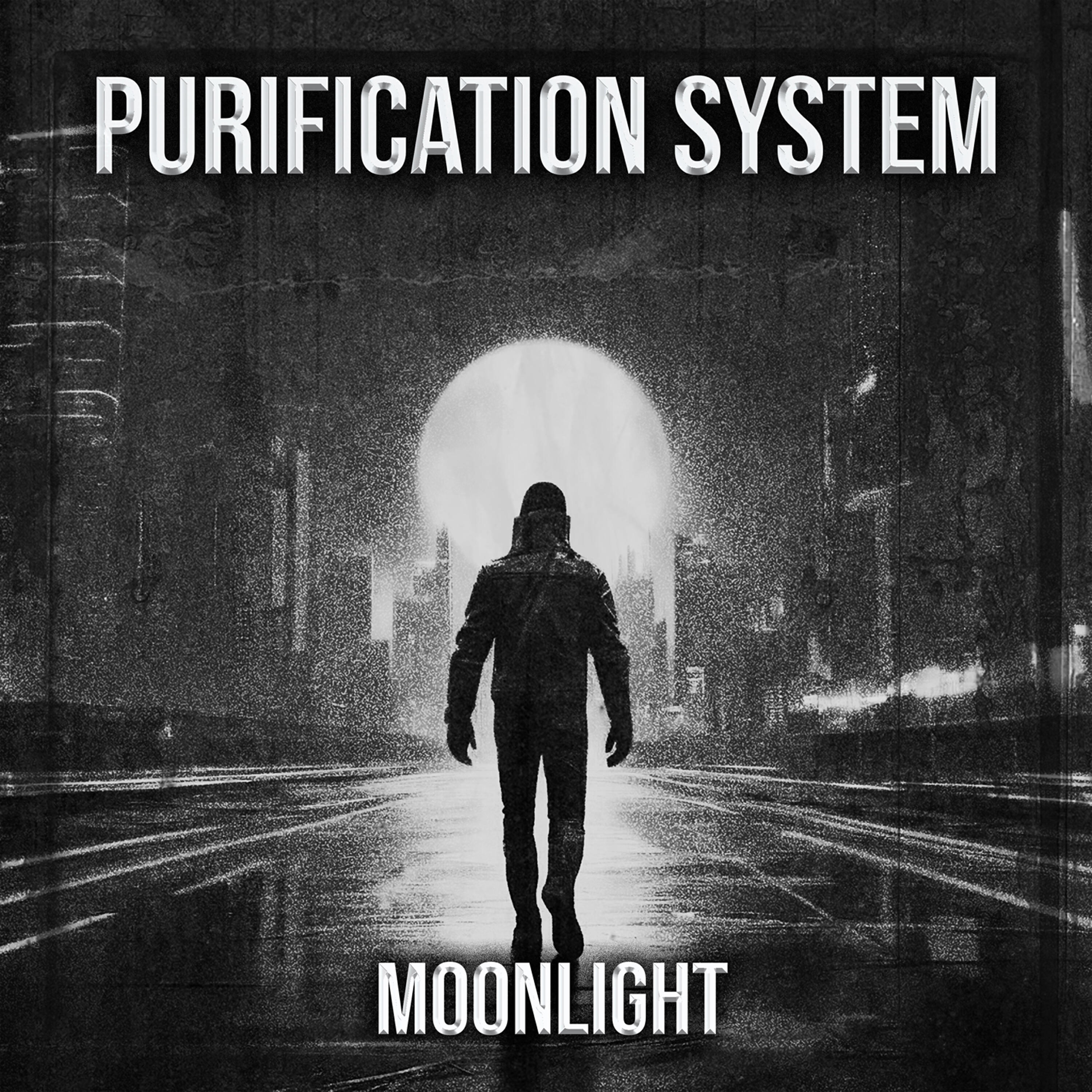 Purification System