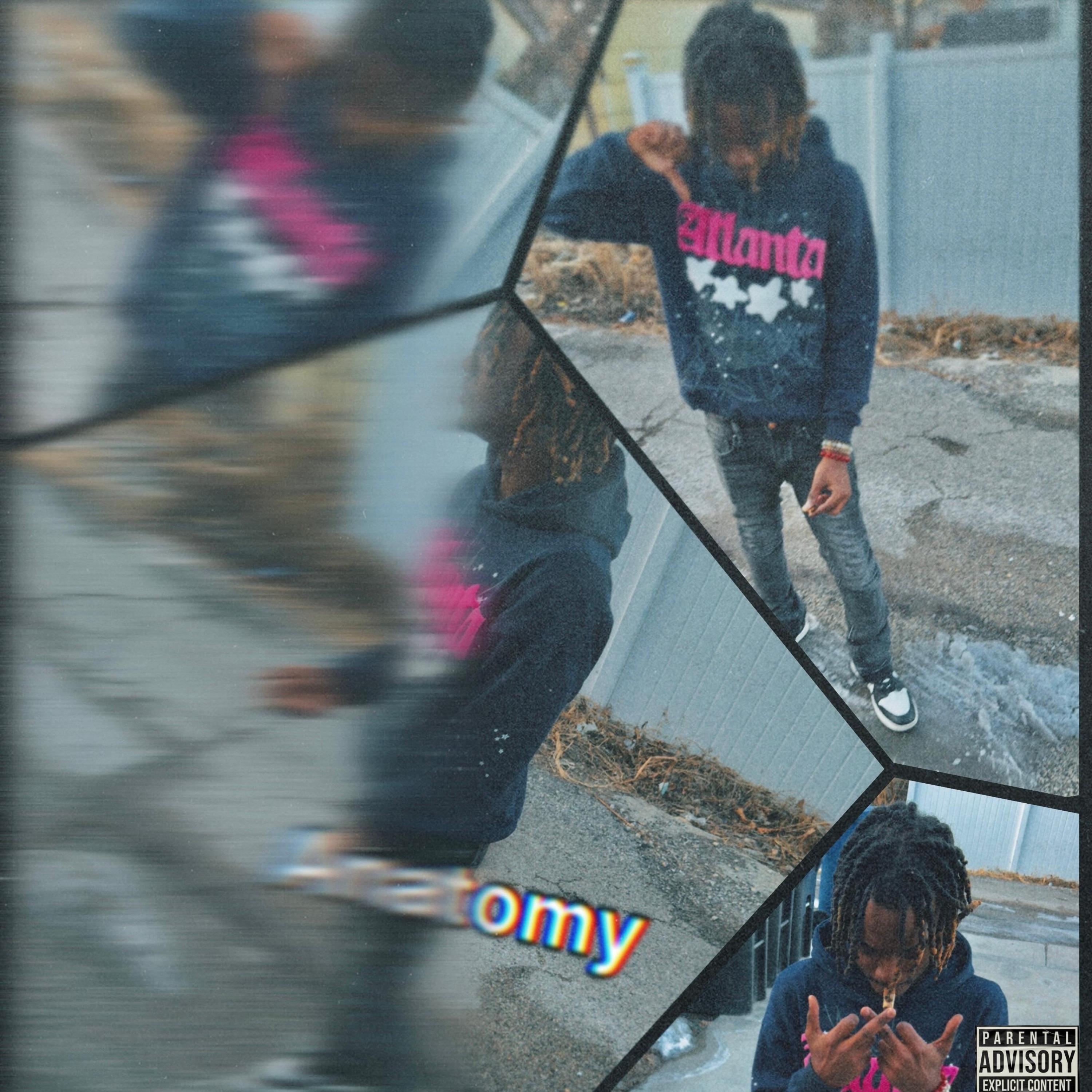 Релиз Anatomy