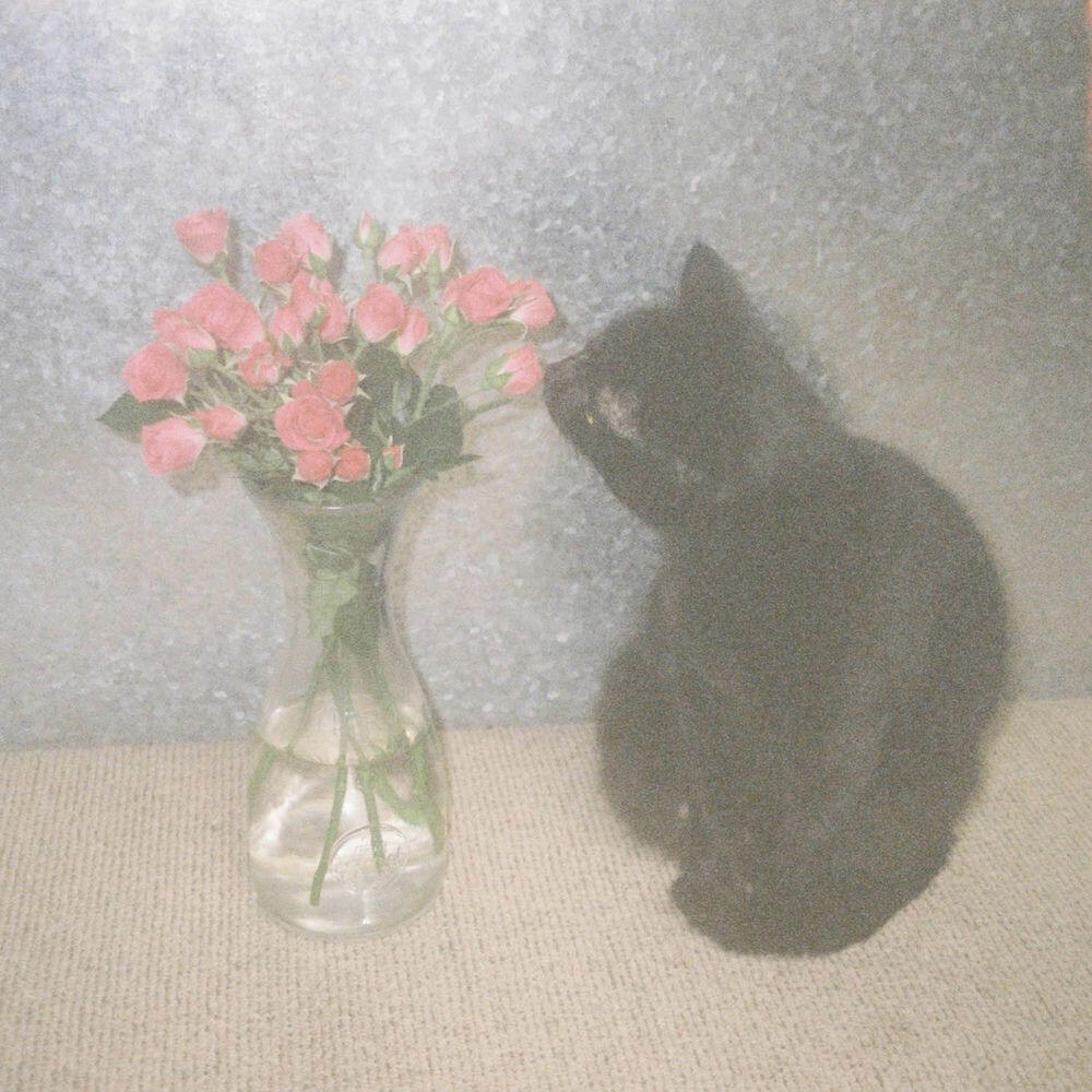 Релиз i moved yesterday