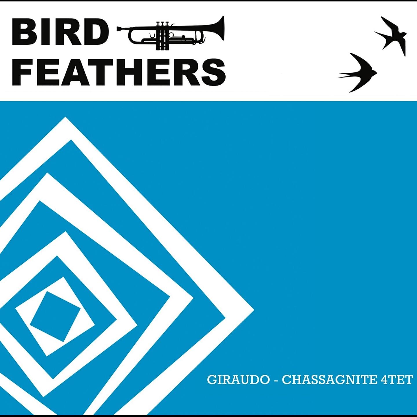 Релиз Bird Feathers