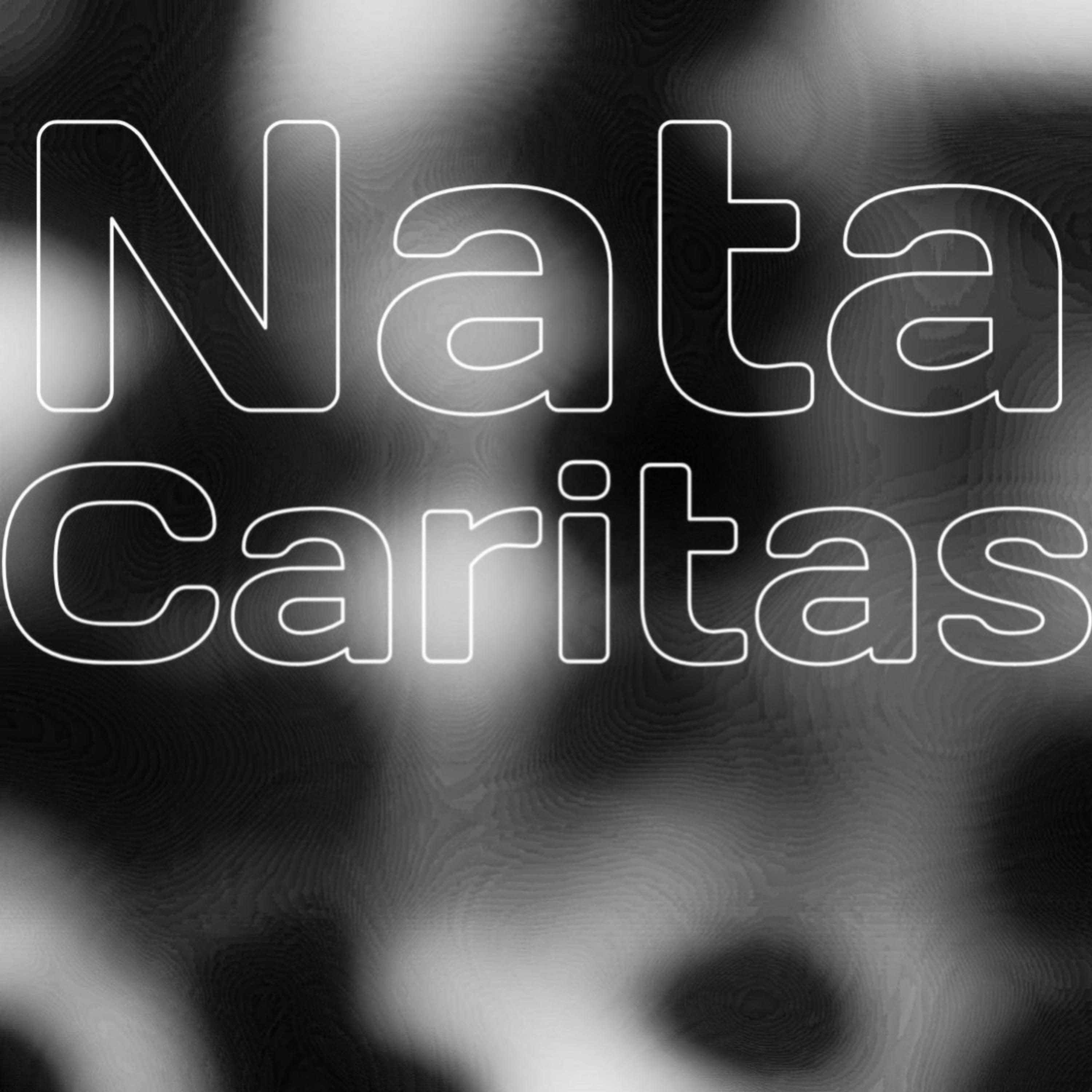 Релиз Nata