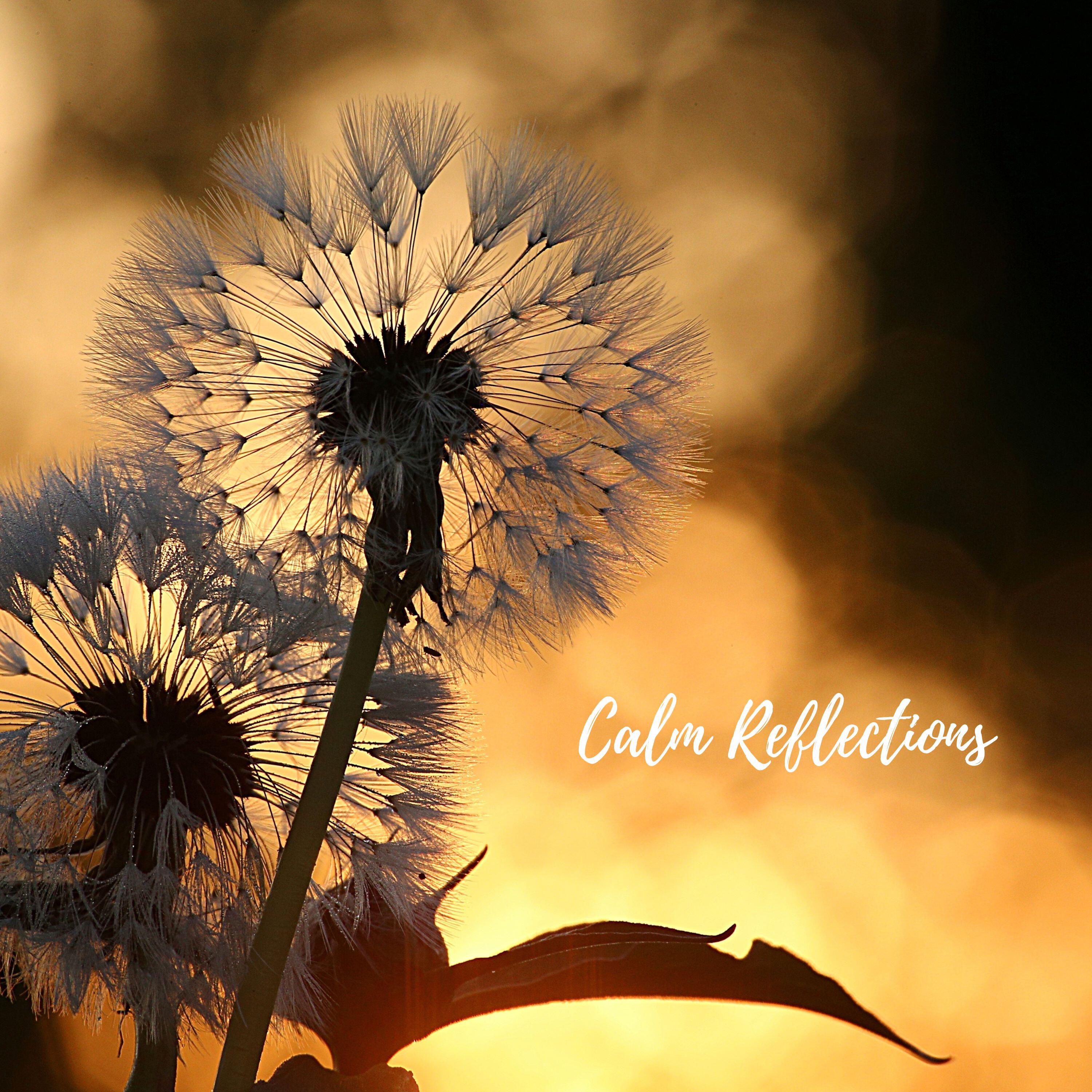 Релиз Calm Reflections