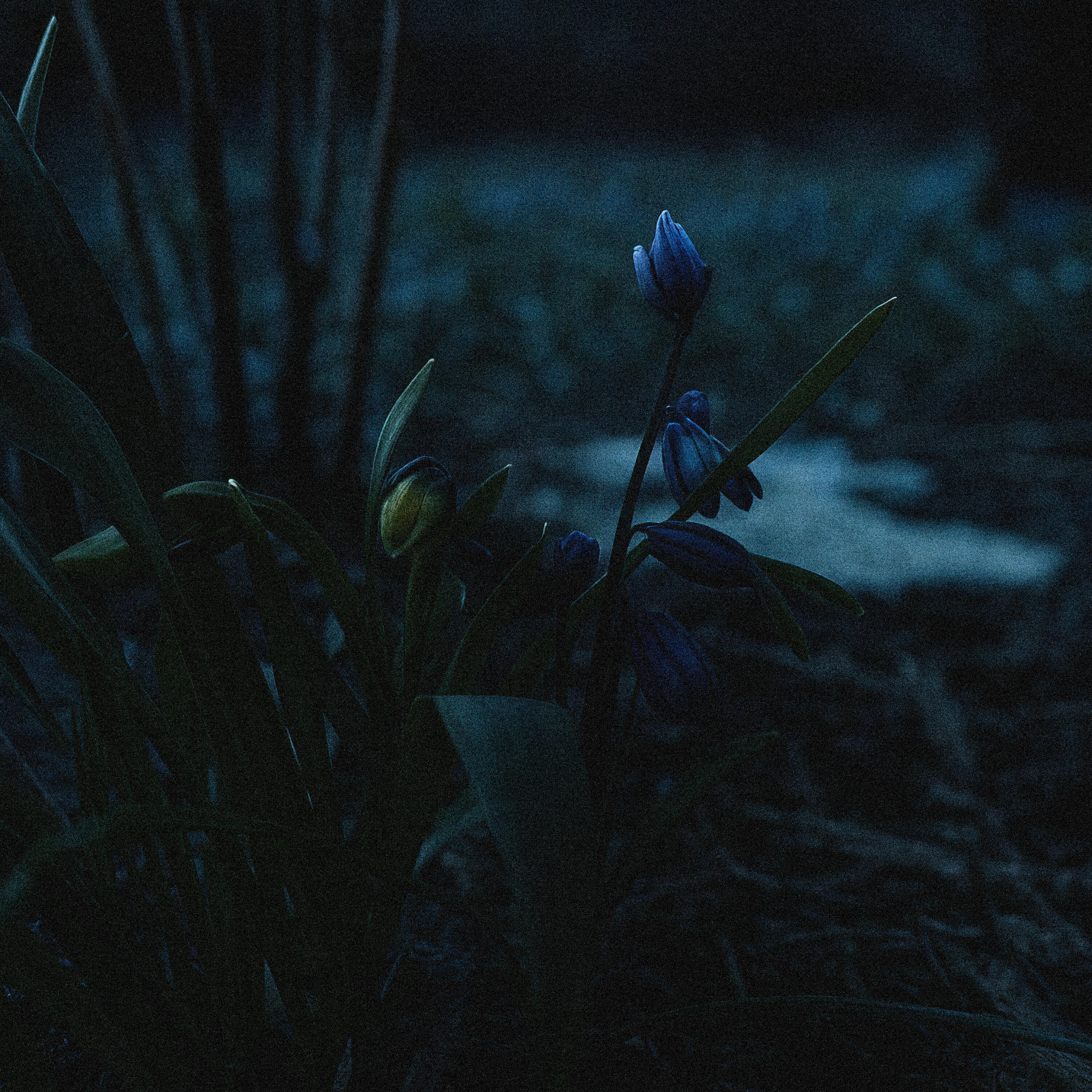 Релиз Feelings Don't Last