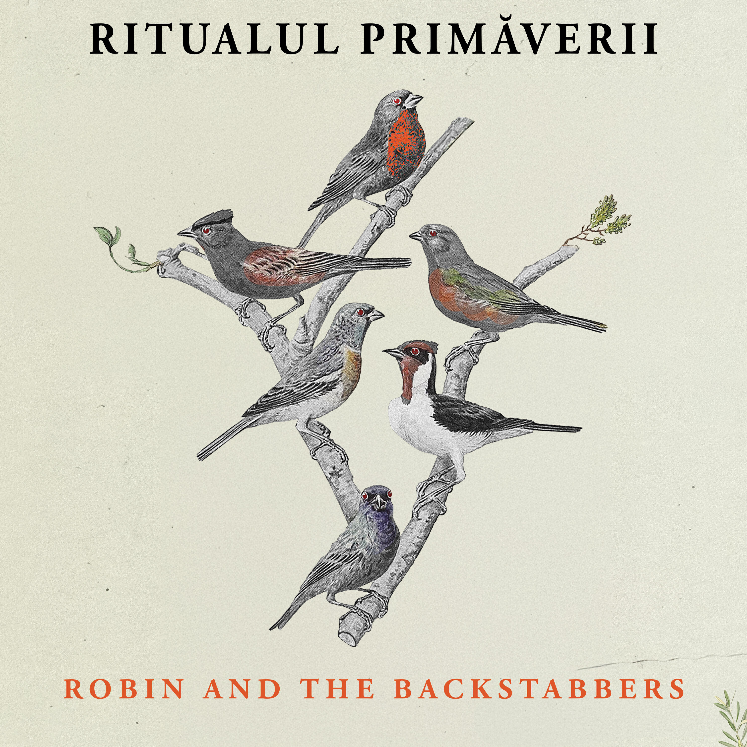 Релиз Ritualul Primăverii