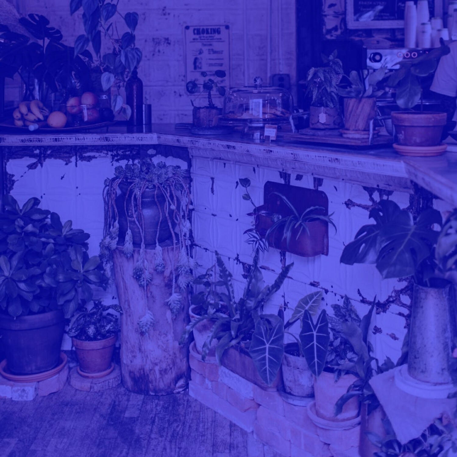 Релиз Background Music for Boutique Cafes