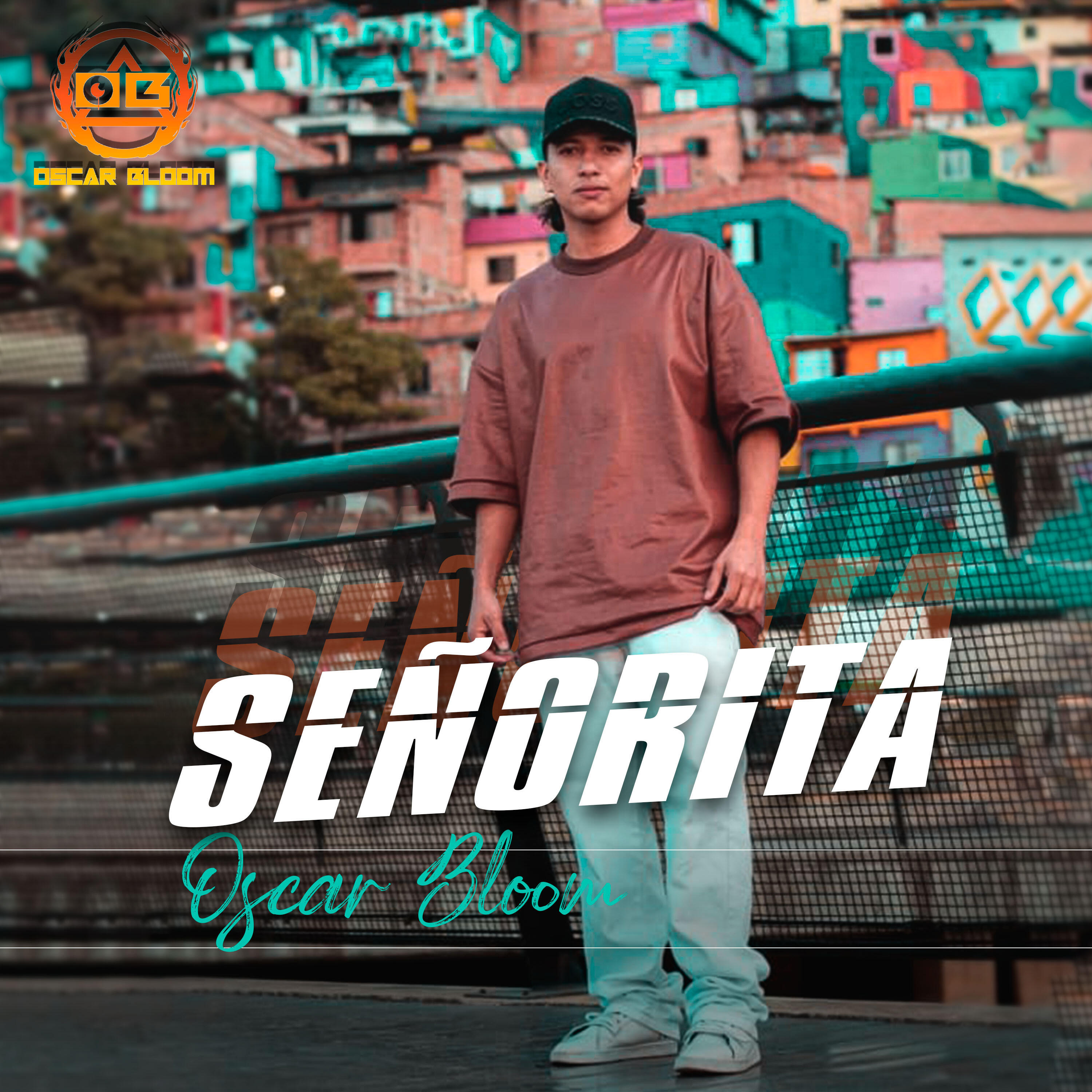 Релиз Señorita