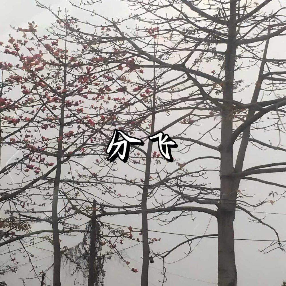 Релиз 分飞 (雨纷飞飞在天空里是我的眼泪)