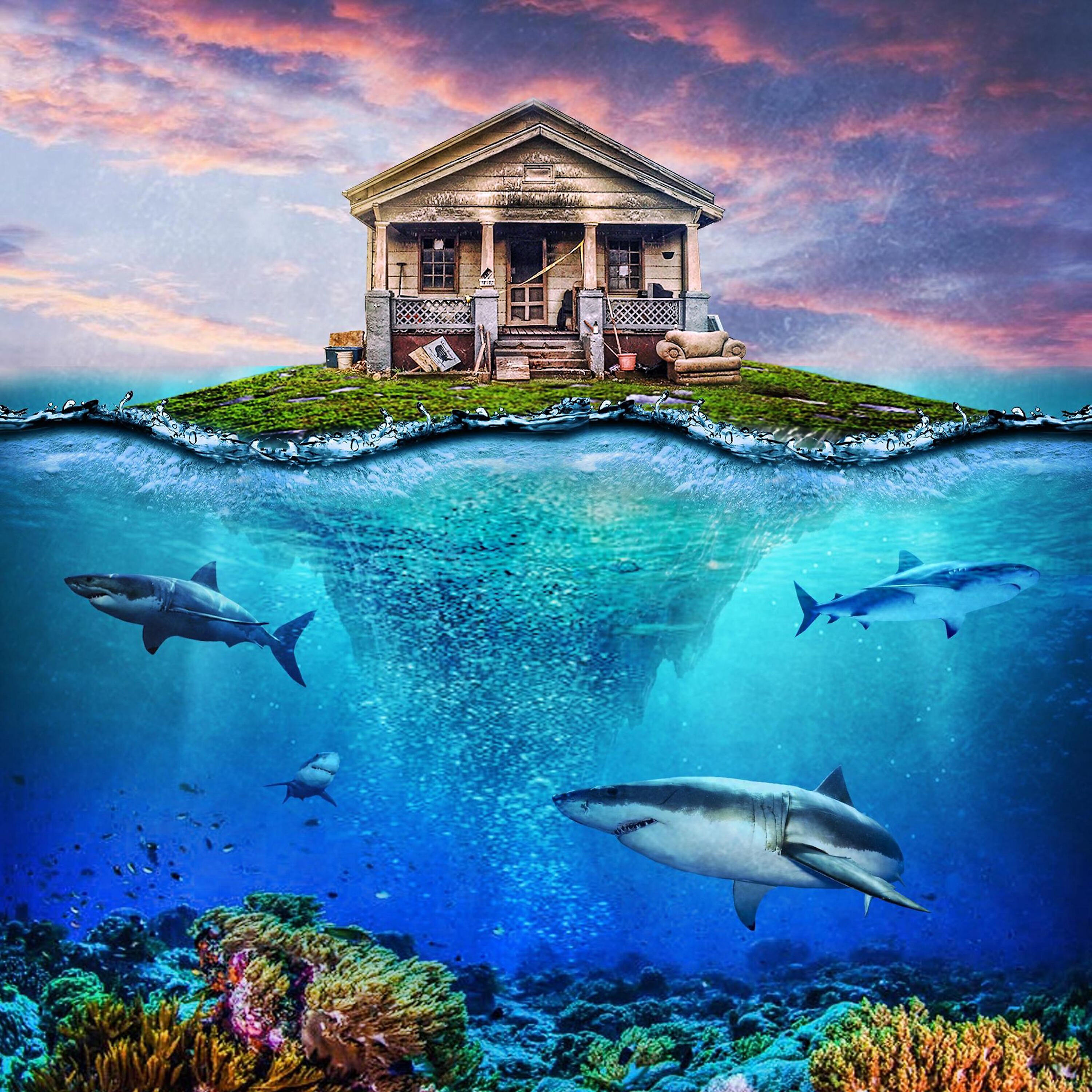 Shanties of the Sea