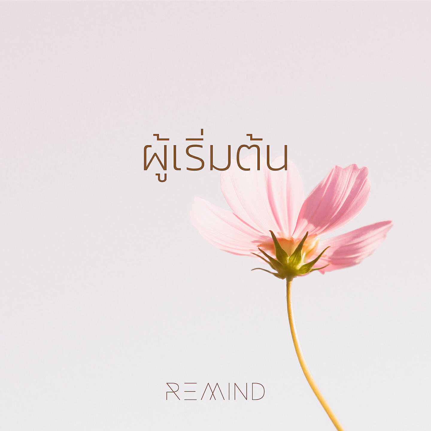 Релиз ผู้เริ่มต้น