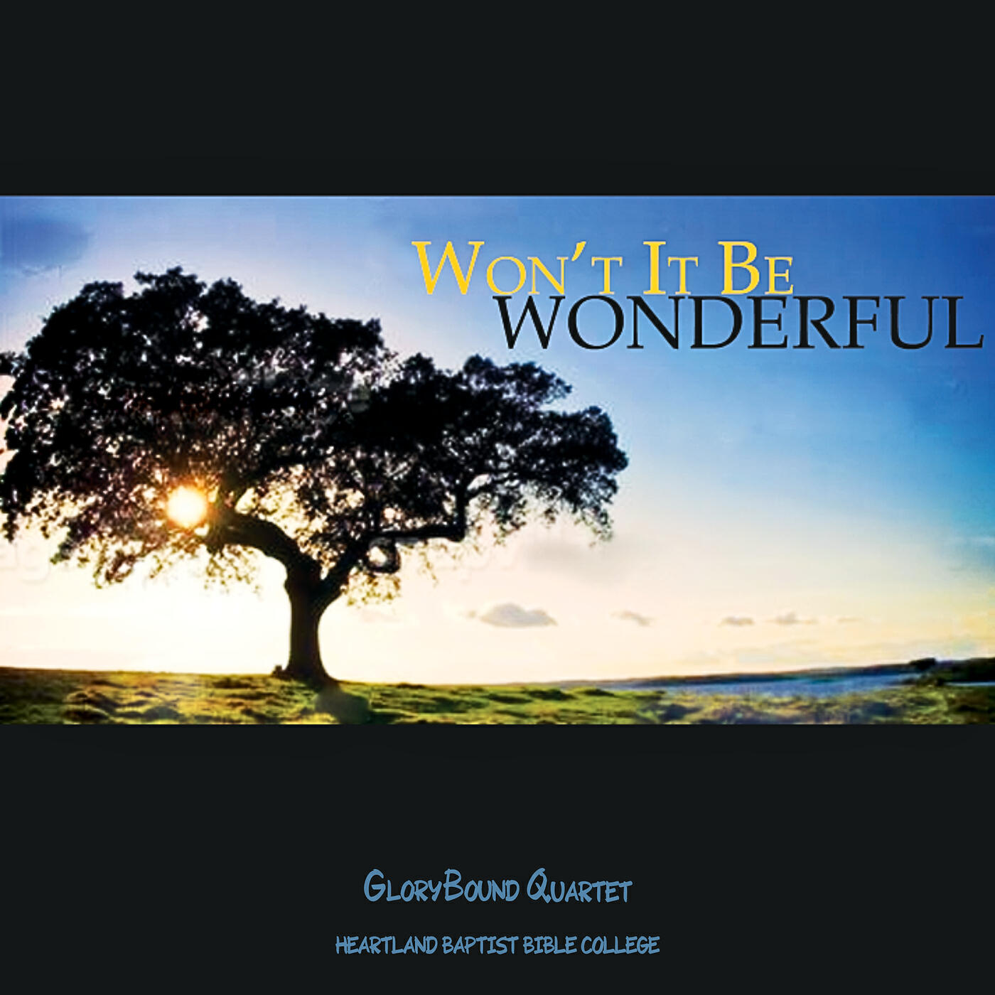 Релиз Won't It Be Wonderful