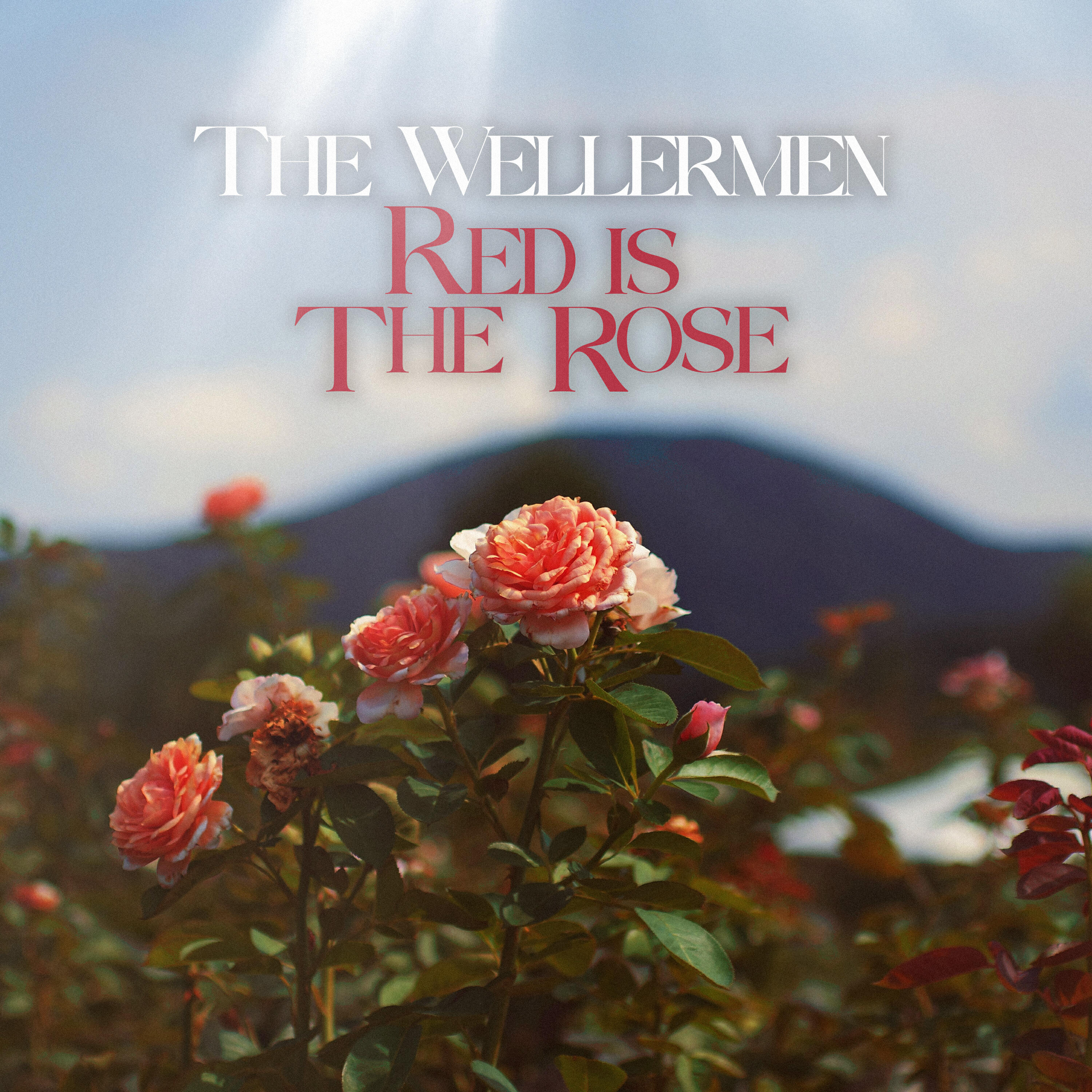 Релиз Red Is The Rose