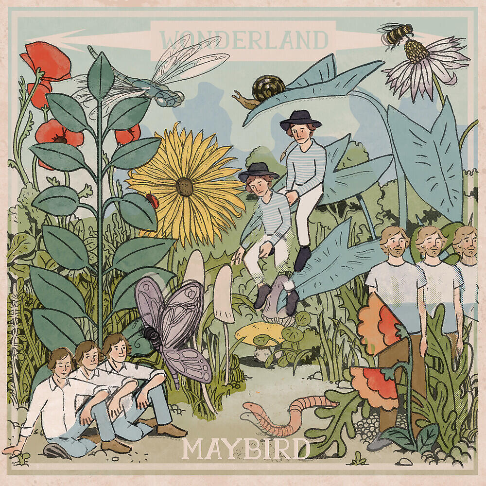 Релиз Wonderland