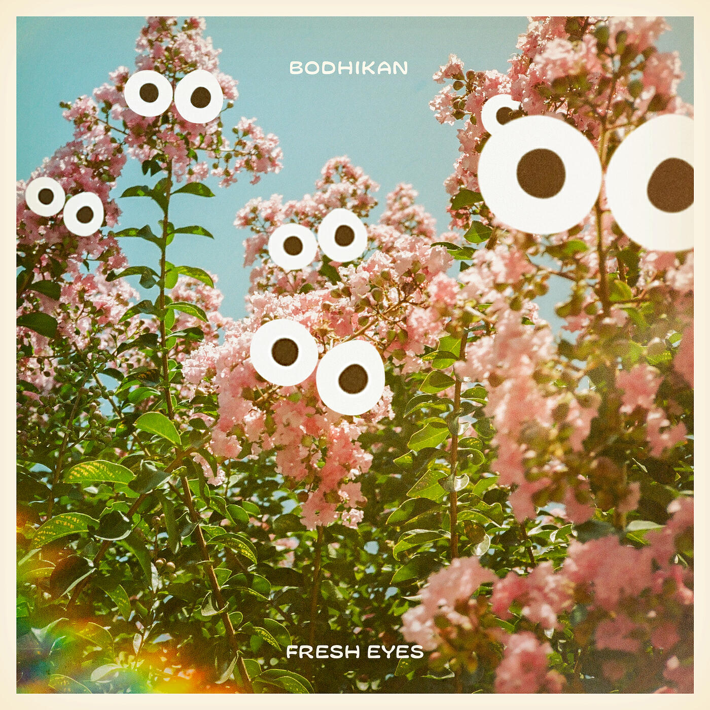Релиз Fresh Eyes