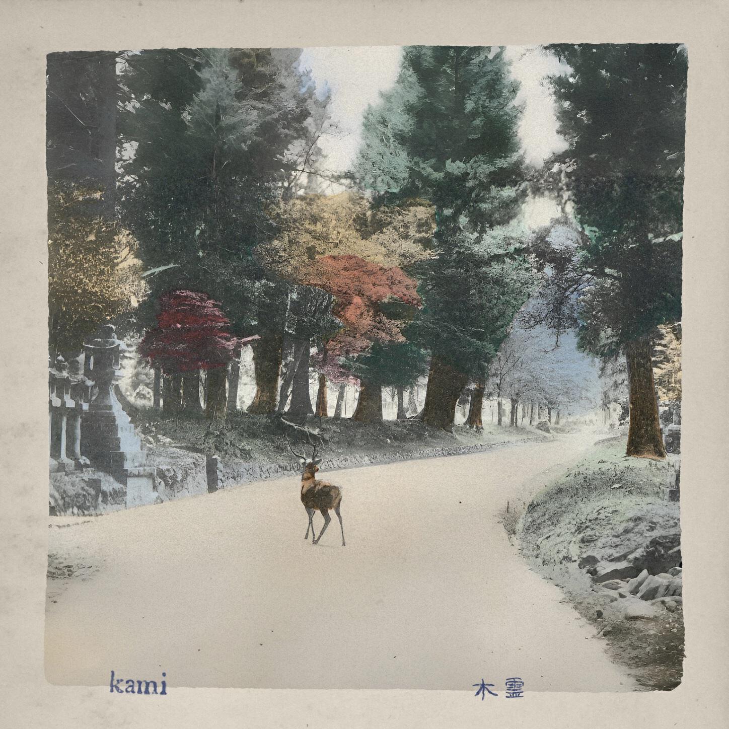 Релиз kami
