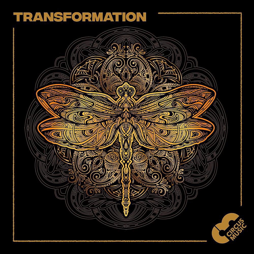Релиз Transformation